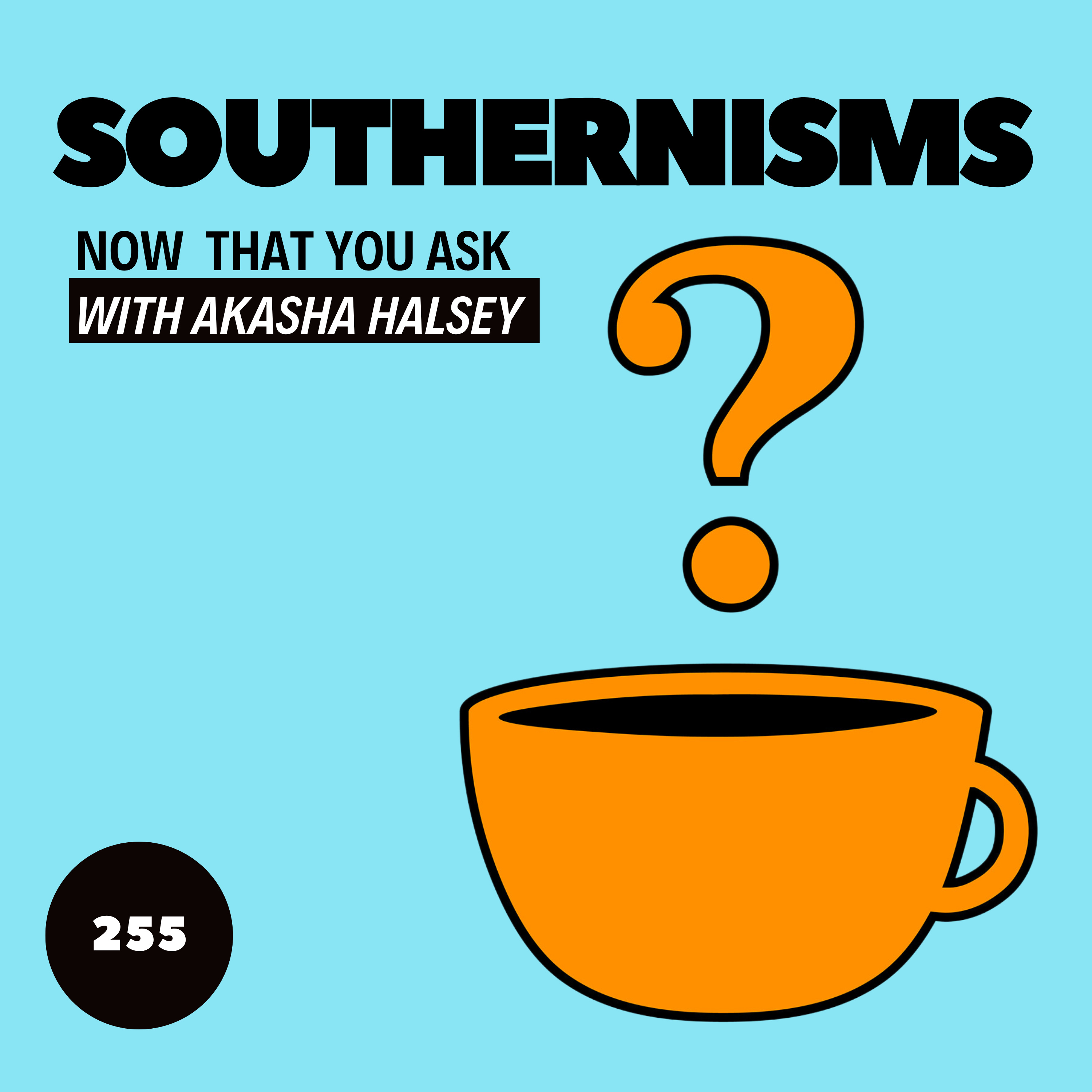 255. Southernisms episode artwork
