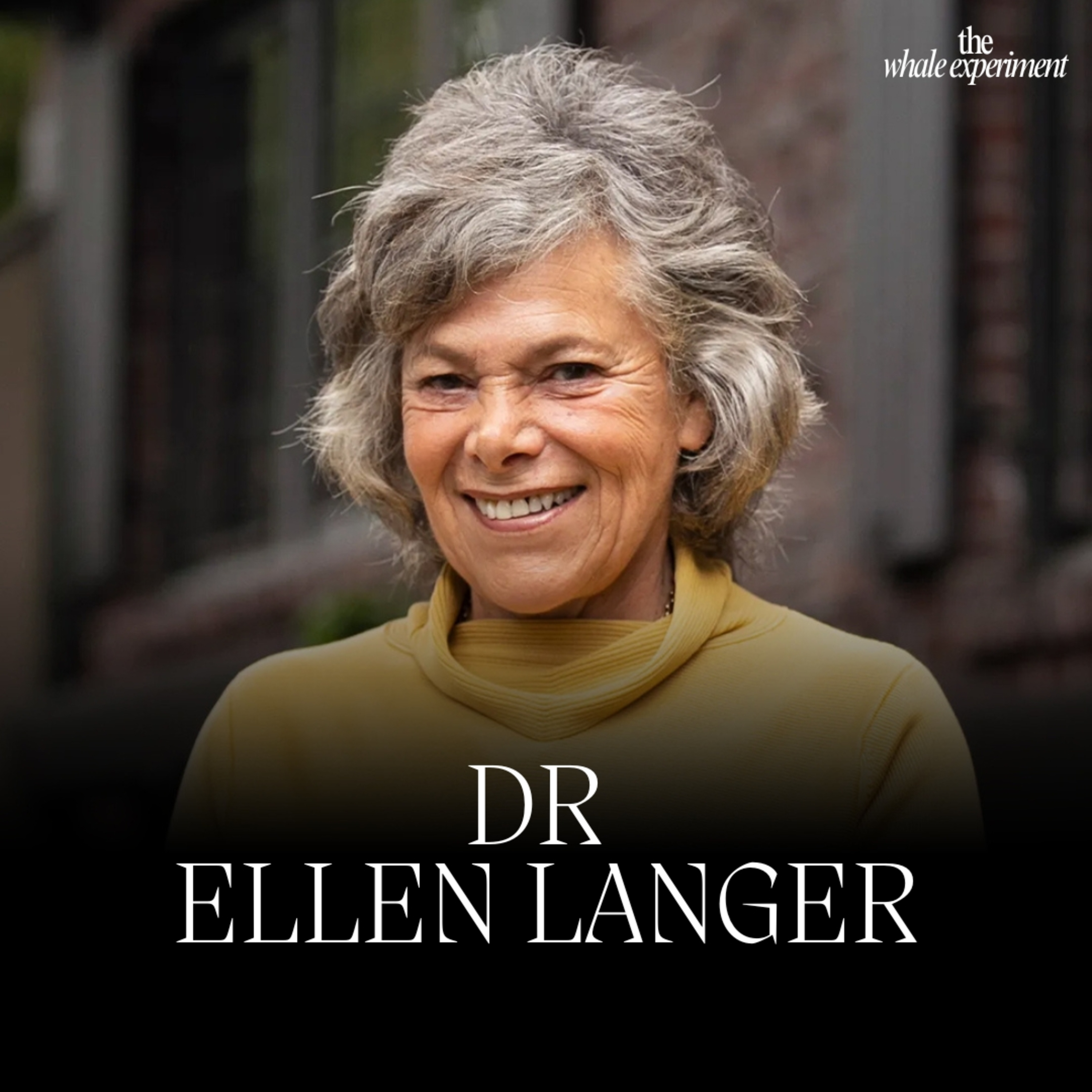 009: mindfulness isn’t what you think – Harvard’s Dr Ellen Langer reveals the real secret to living fully