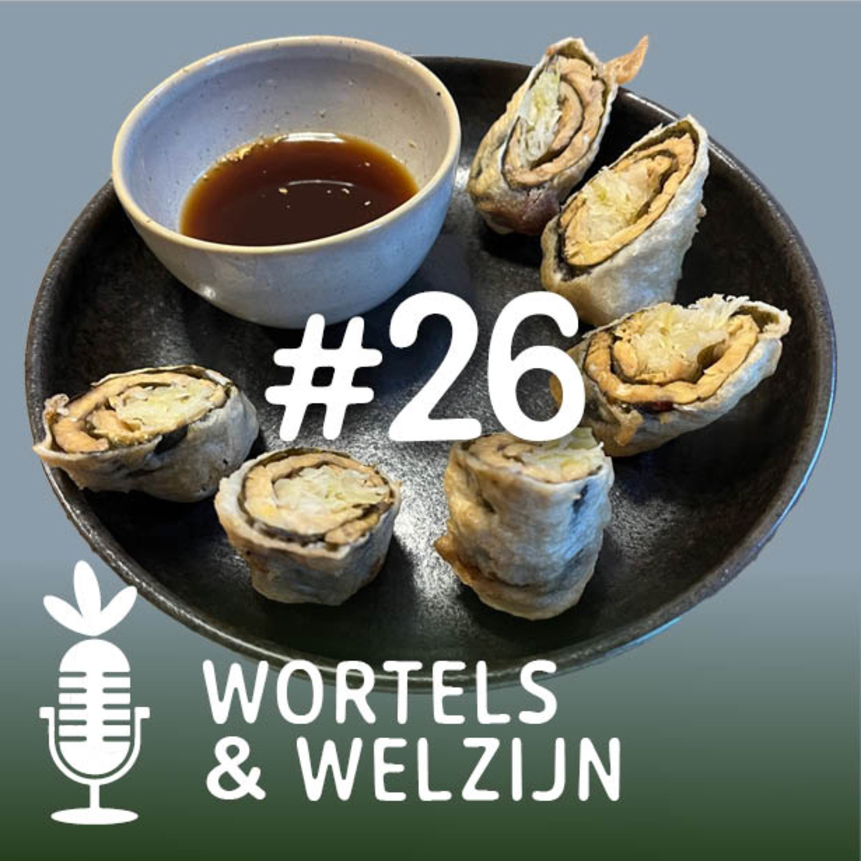 #26 - Michel bereidt tempura-tempeh-sushi episode artwork