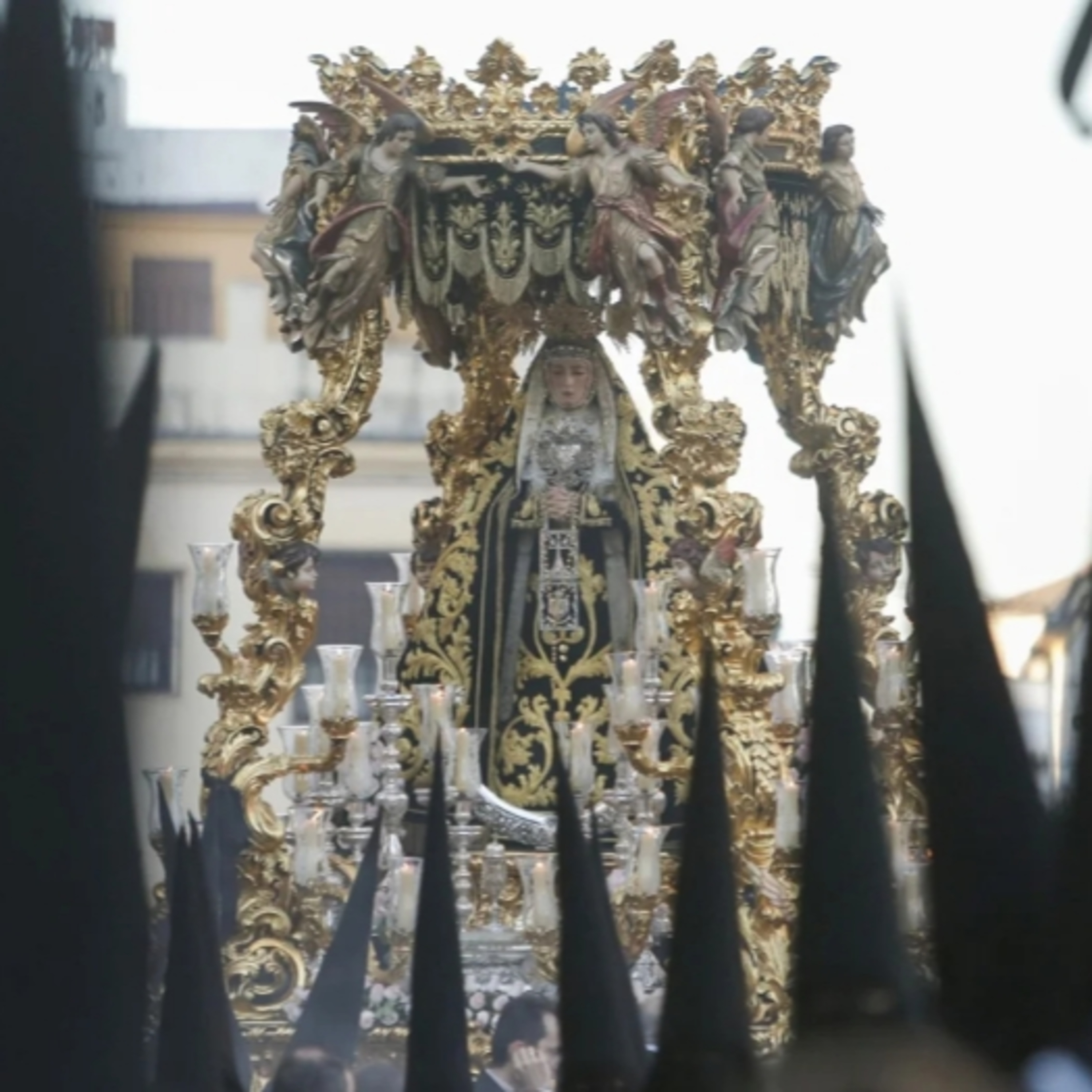 SENTIR COFRADE de PTV CÓRDOBA