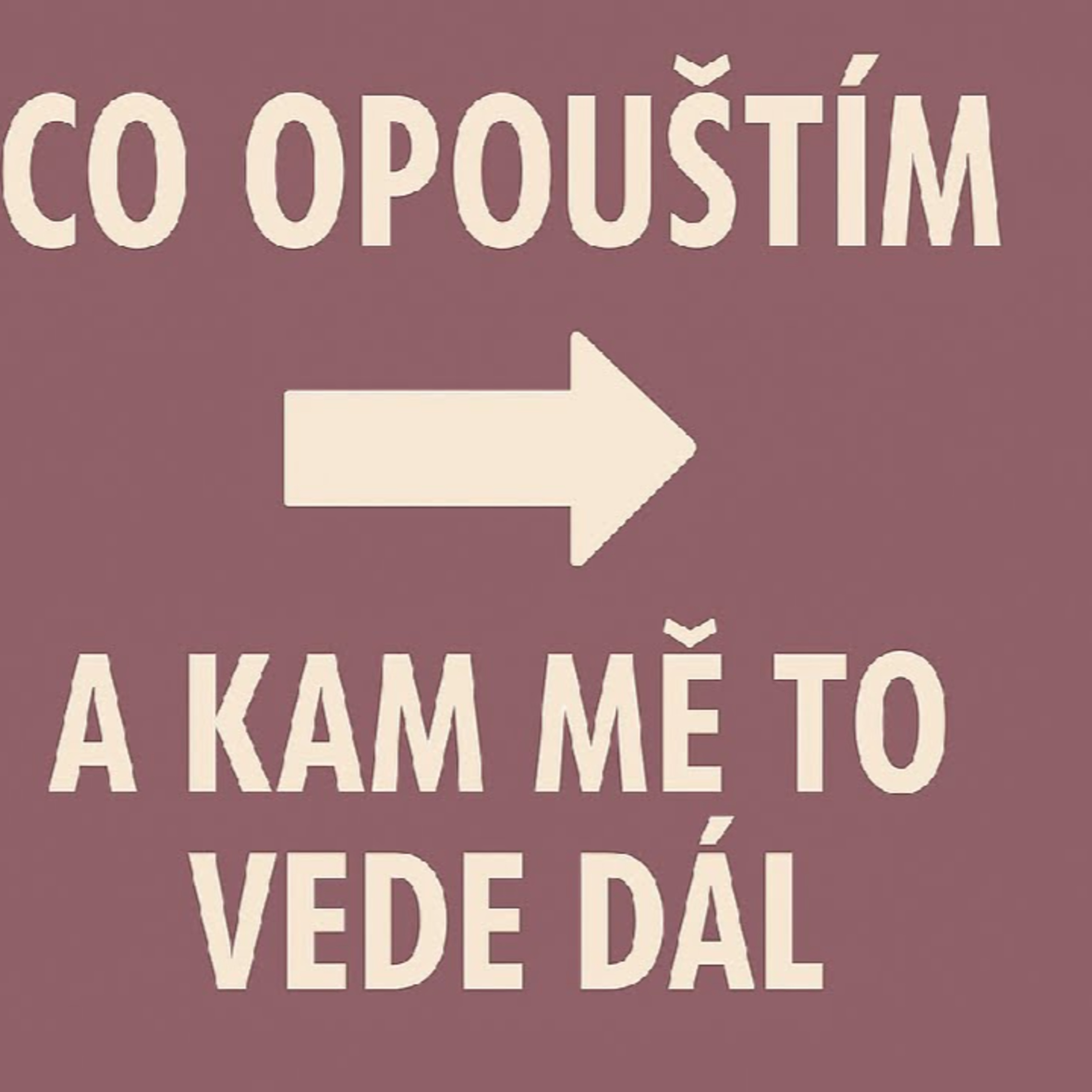 Co opouštím a kam mně to vede dál episode artwork