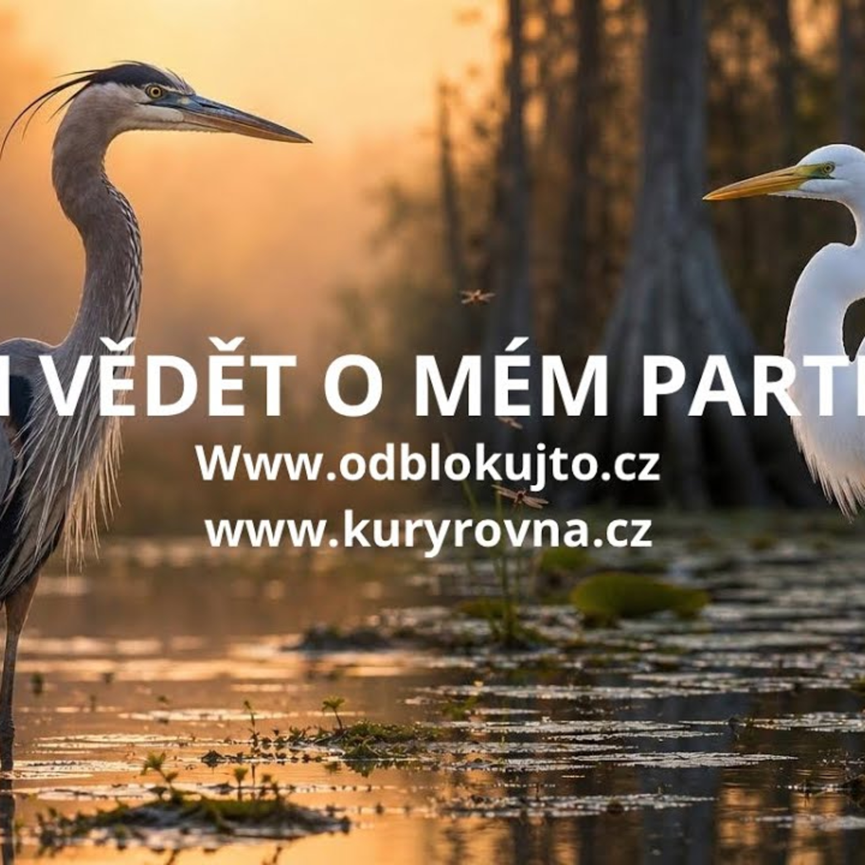 CO SI MÁM V PARTNERSTVÍ UVĚDOMIT?💞osobní rozvoj/vzory chování/ sebeláska episode artwork