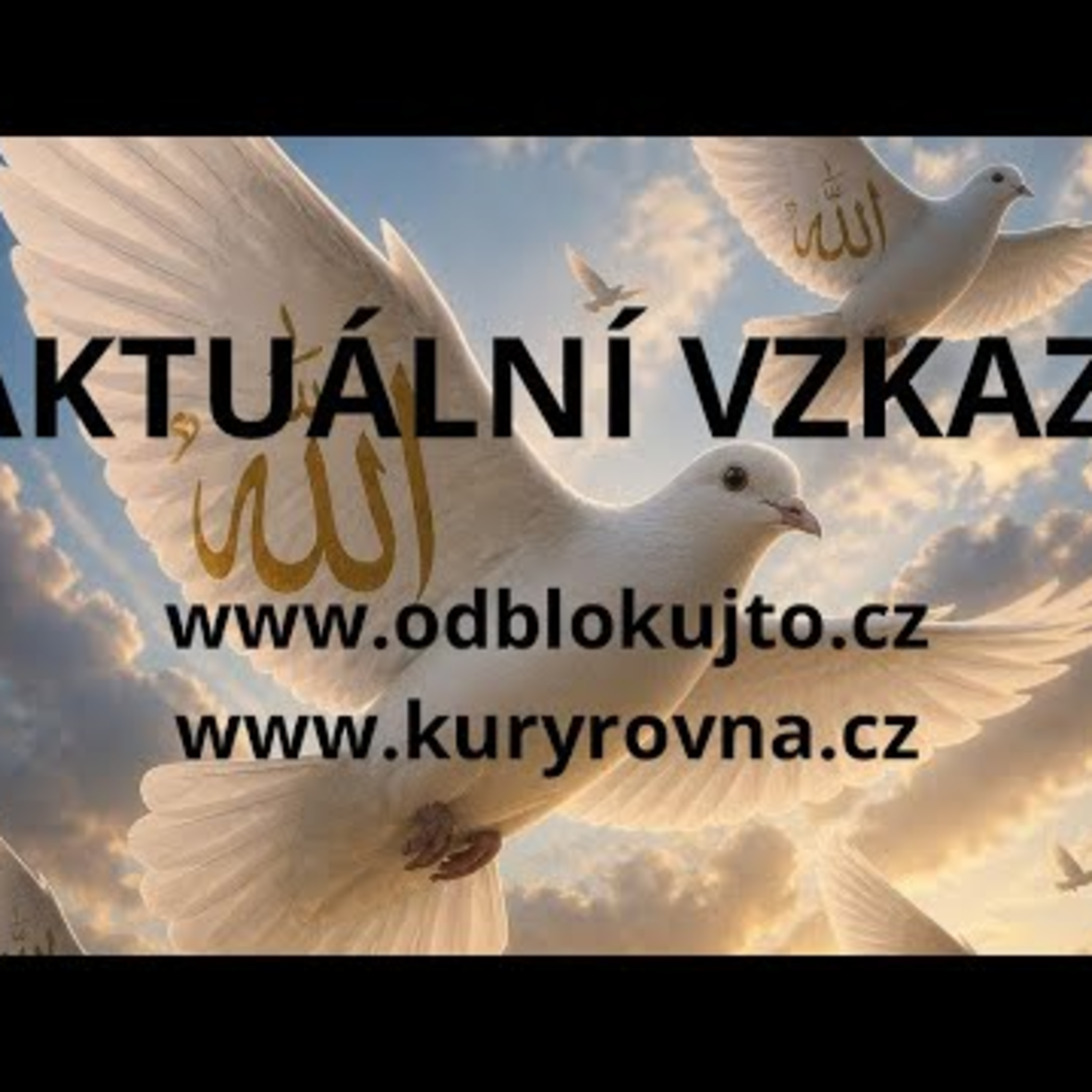 AKTUÁLNÍ VZKAZY - POSUN/VÝZVA, 4 VARIANTY💛🩷🩵💚 episode artwork