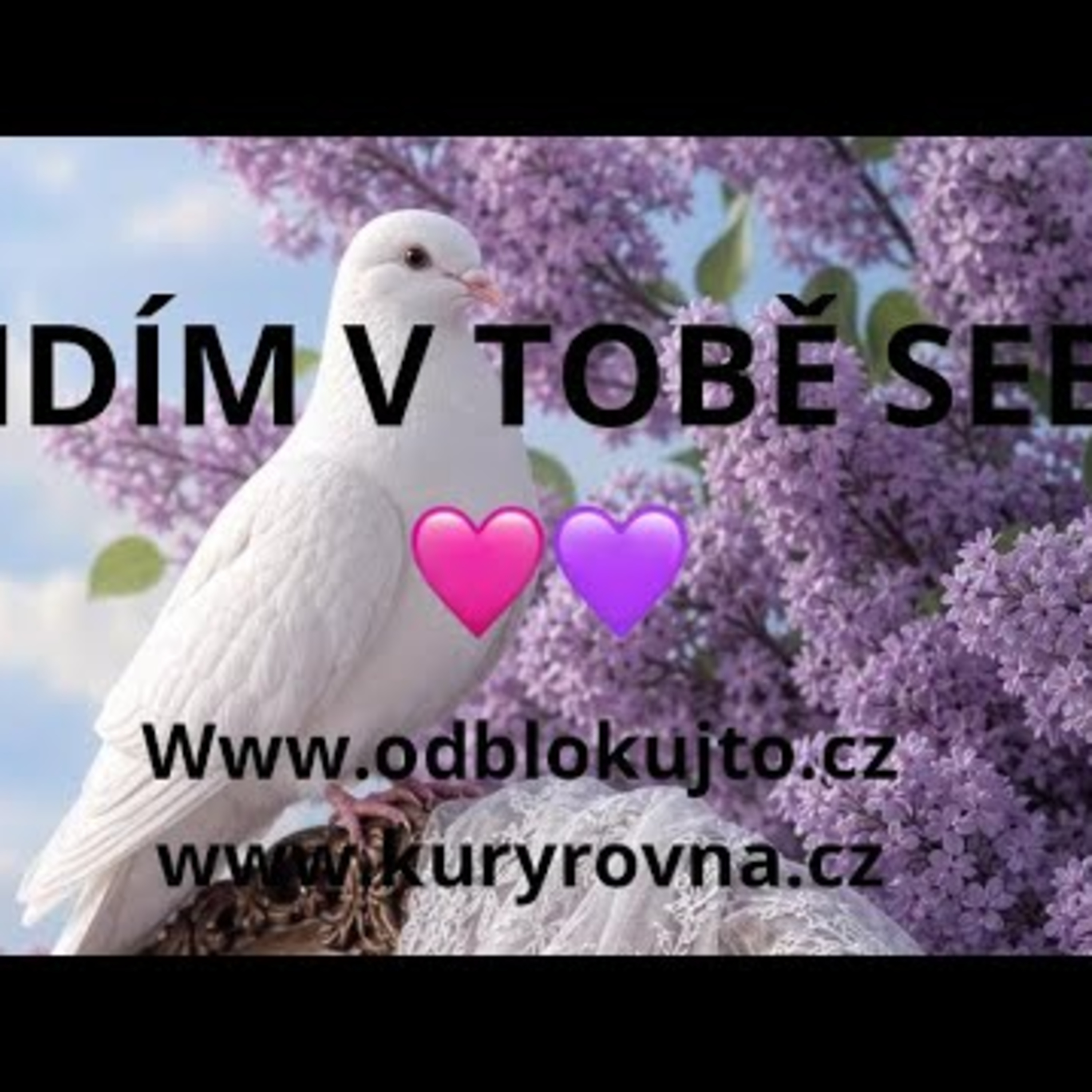 Hluboké propojení duší 🩷💜čím otevírám cestu? nastavení správného záměru🌟💫 episode artwork