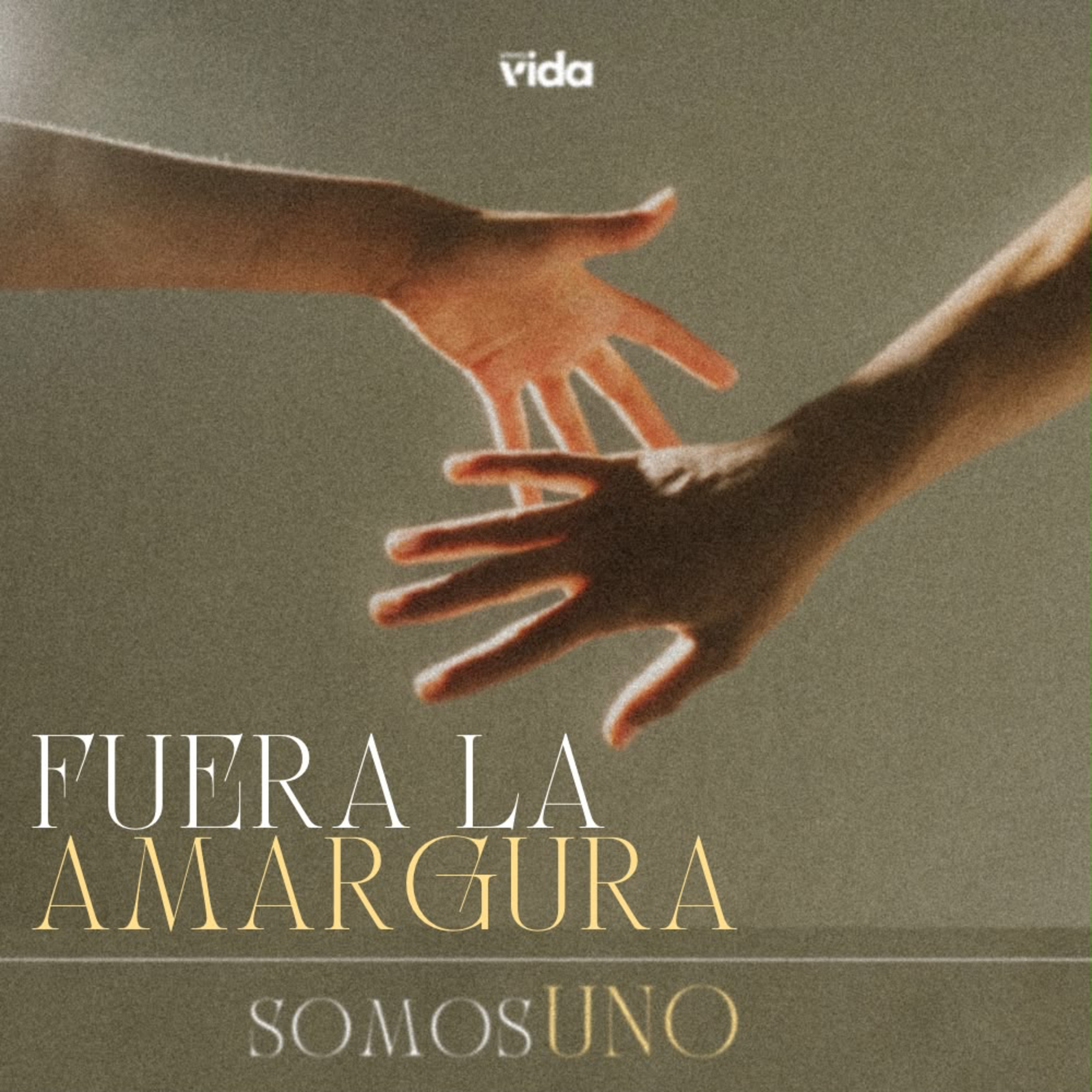 Portada de Iglesia Vida