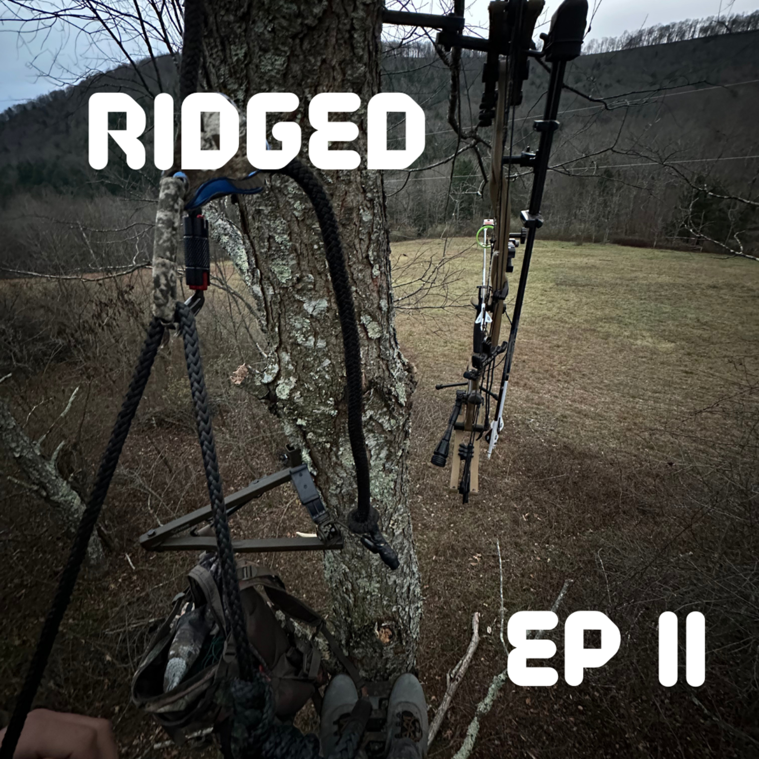 Social Media's Influence on Everyday Hunters | W/ Back Country Crew