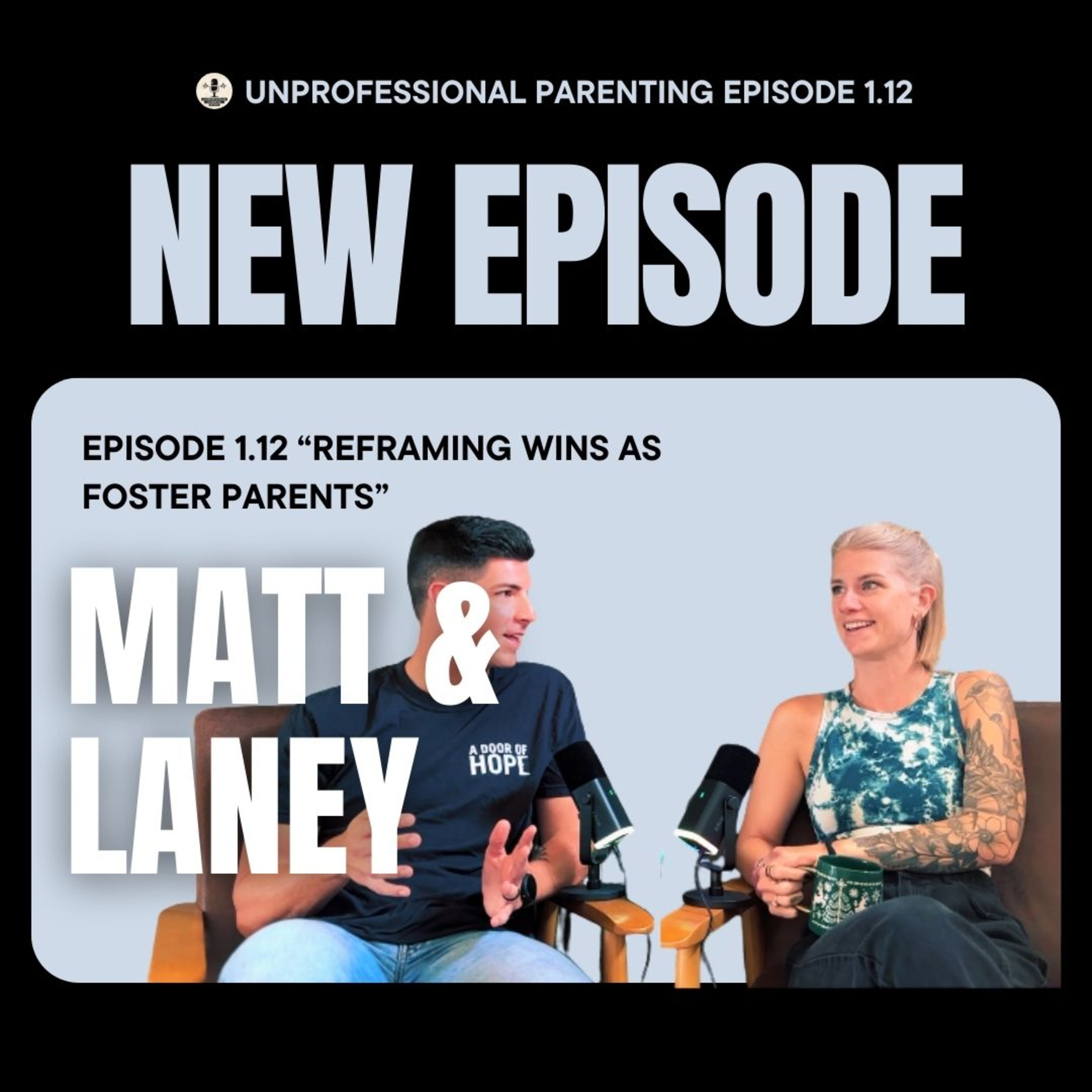 UnProfessional Parenting 1.12 // Reframing Wins as Foster Parents episode artwork