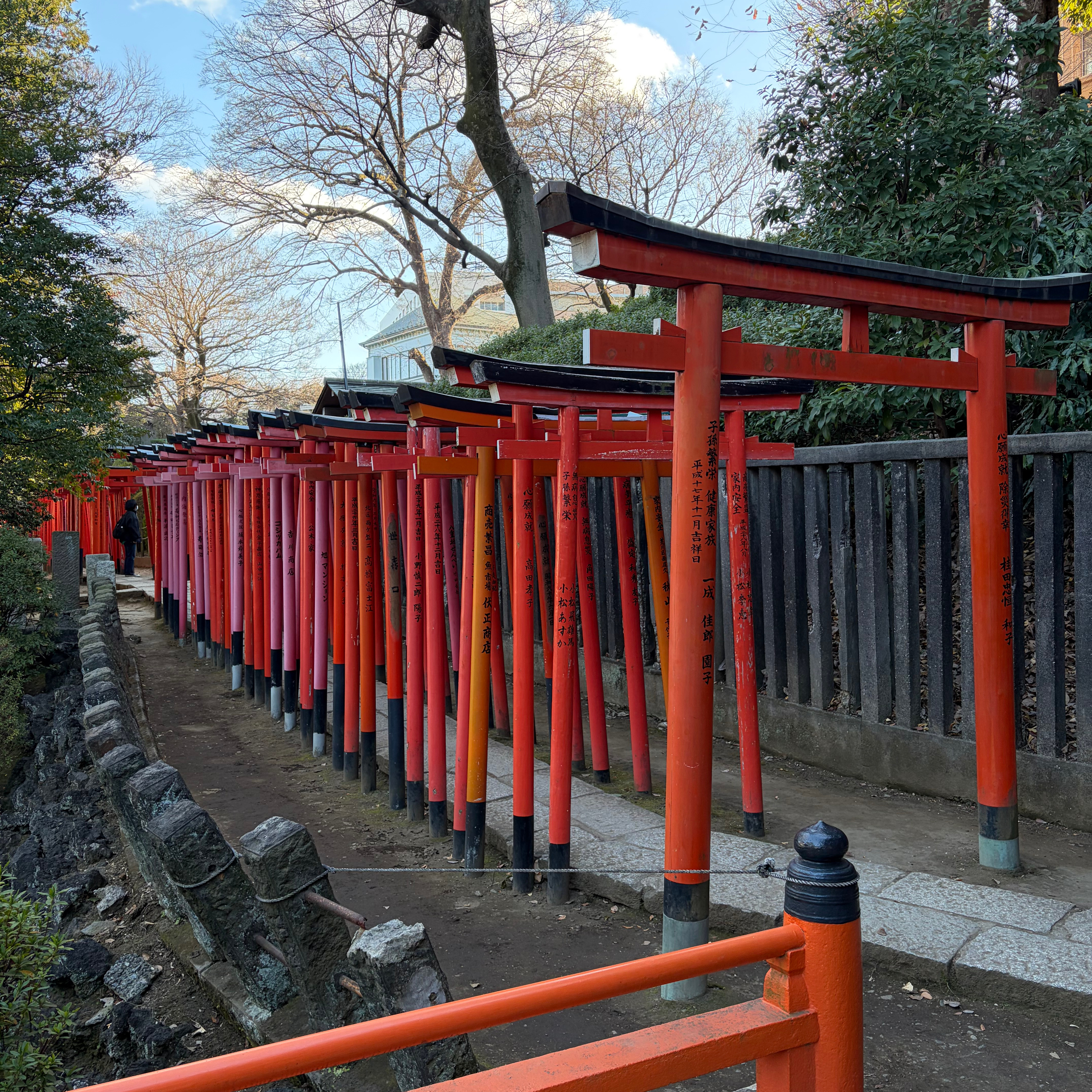 #253 Nezu jinja shrine