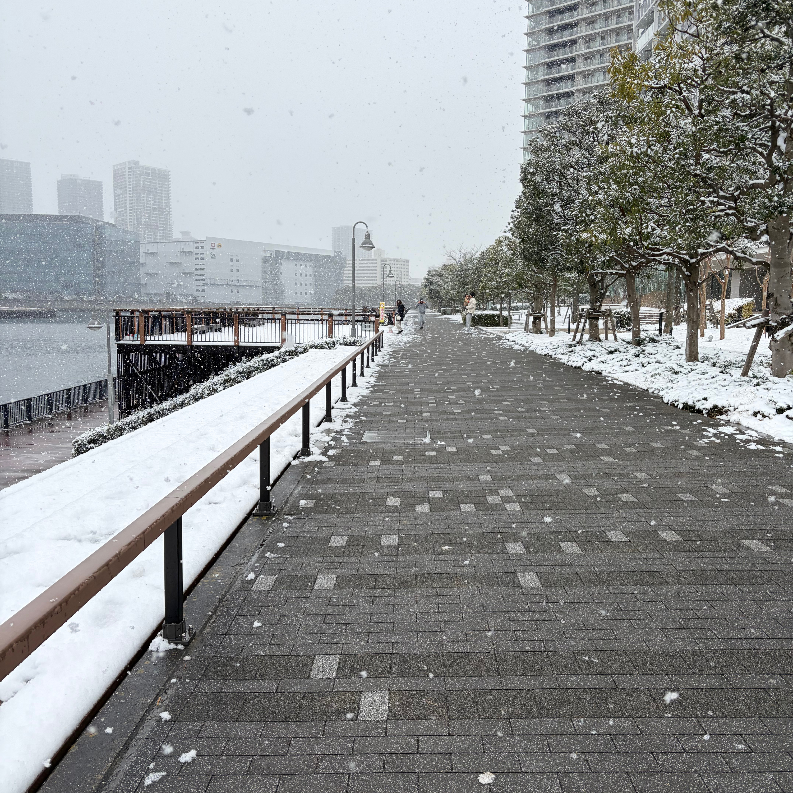 #257 It snowed a lot in Tokyo episode artwork