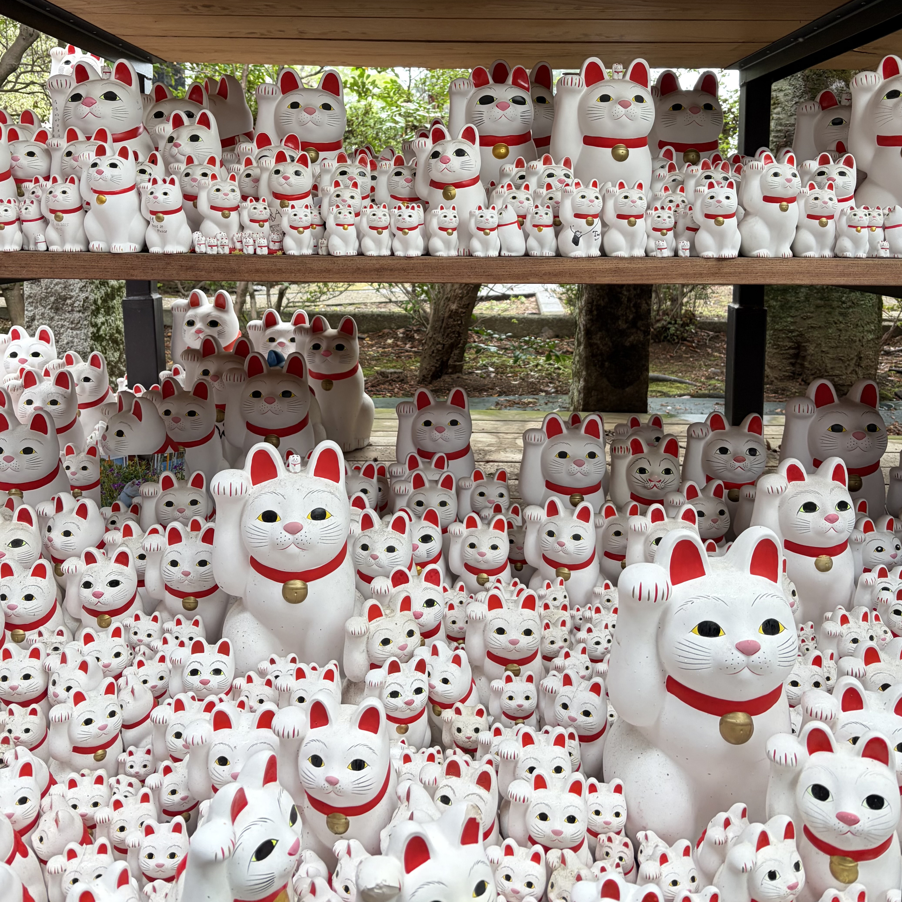 #302 More than just lucky cats  episode artwork