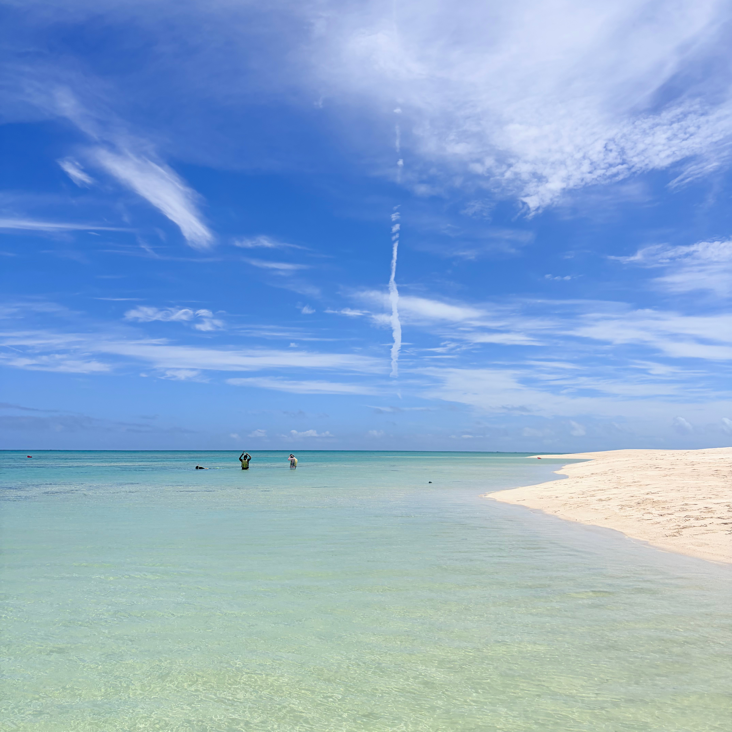 #366 Okinawa trip ①: A beach that felt like heaven