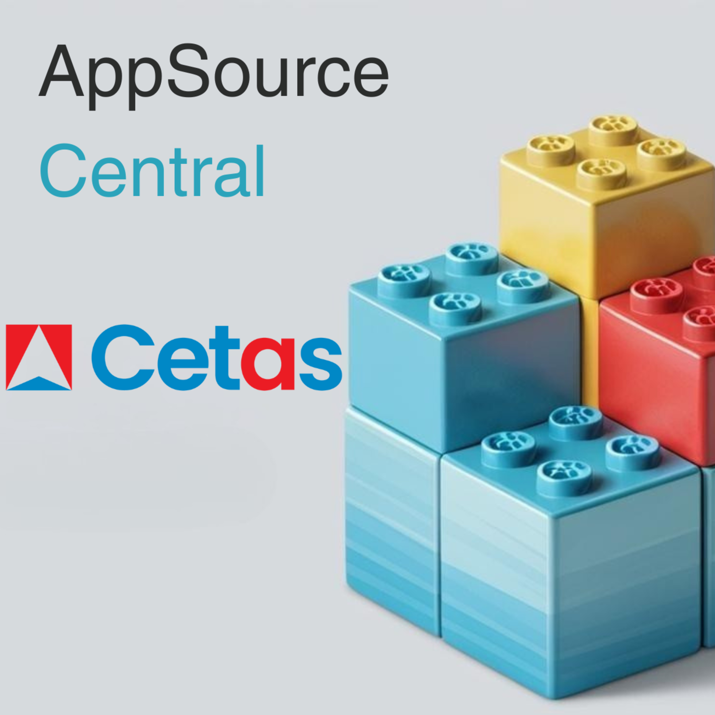 Ep 11: Cetas – NB Projects – Project Engineering & Construction Solution