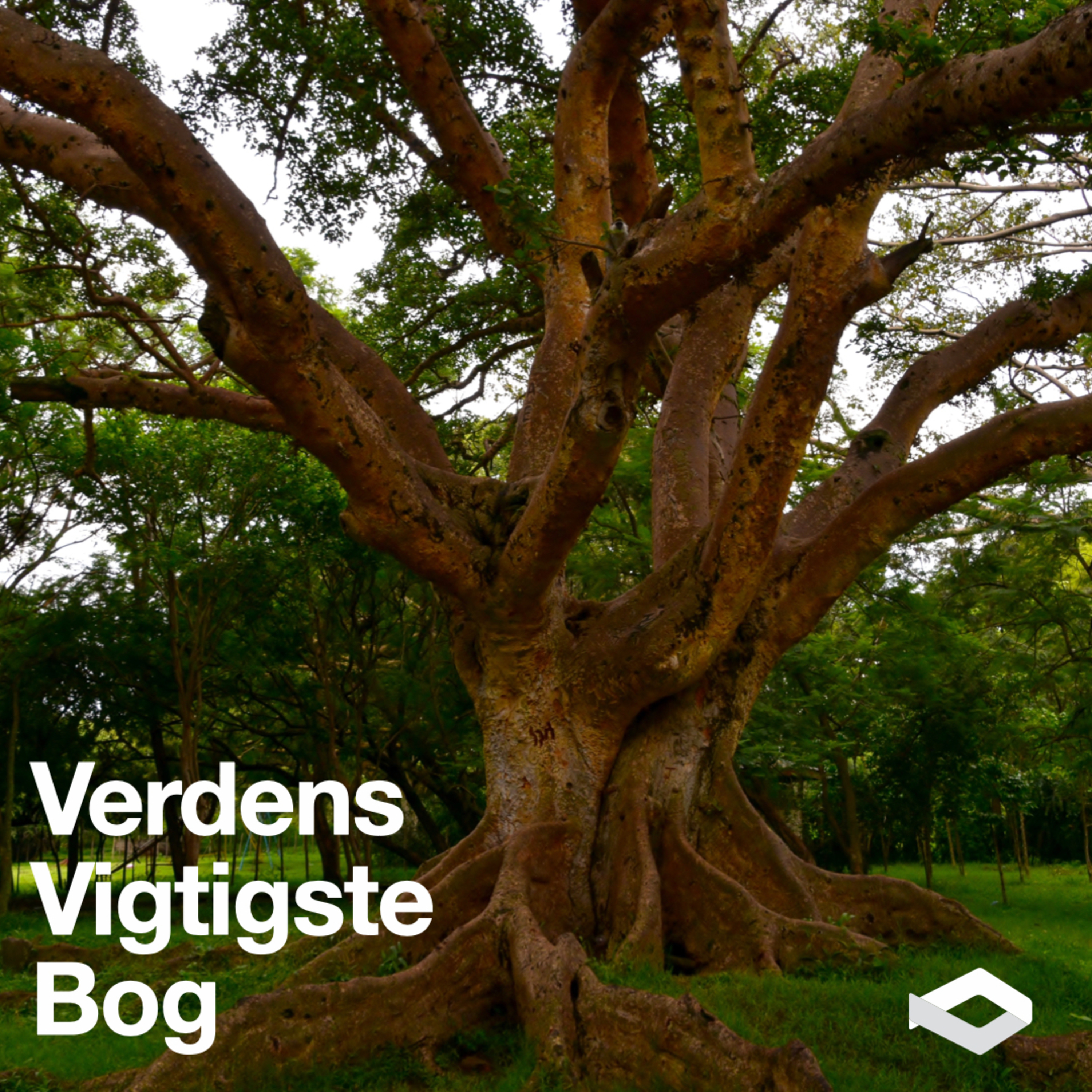 Verdens vigtigste bog