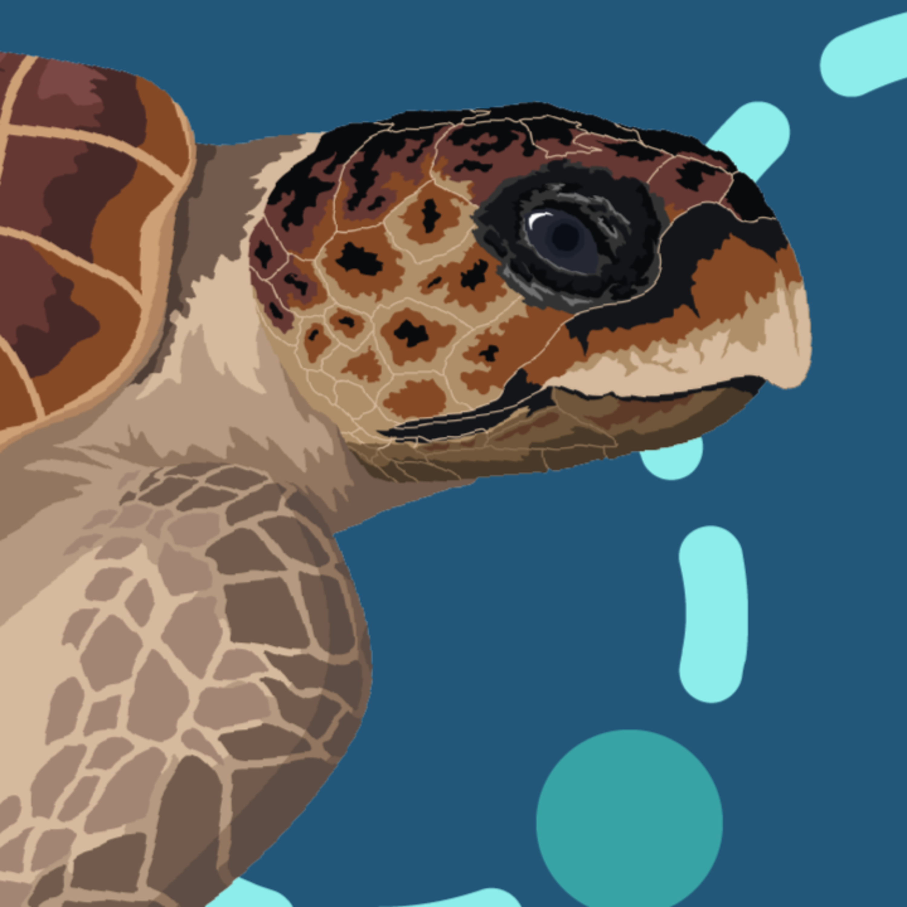 Natural World Explored