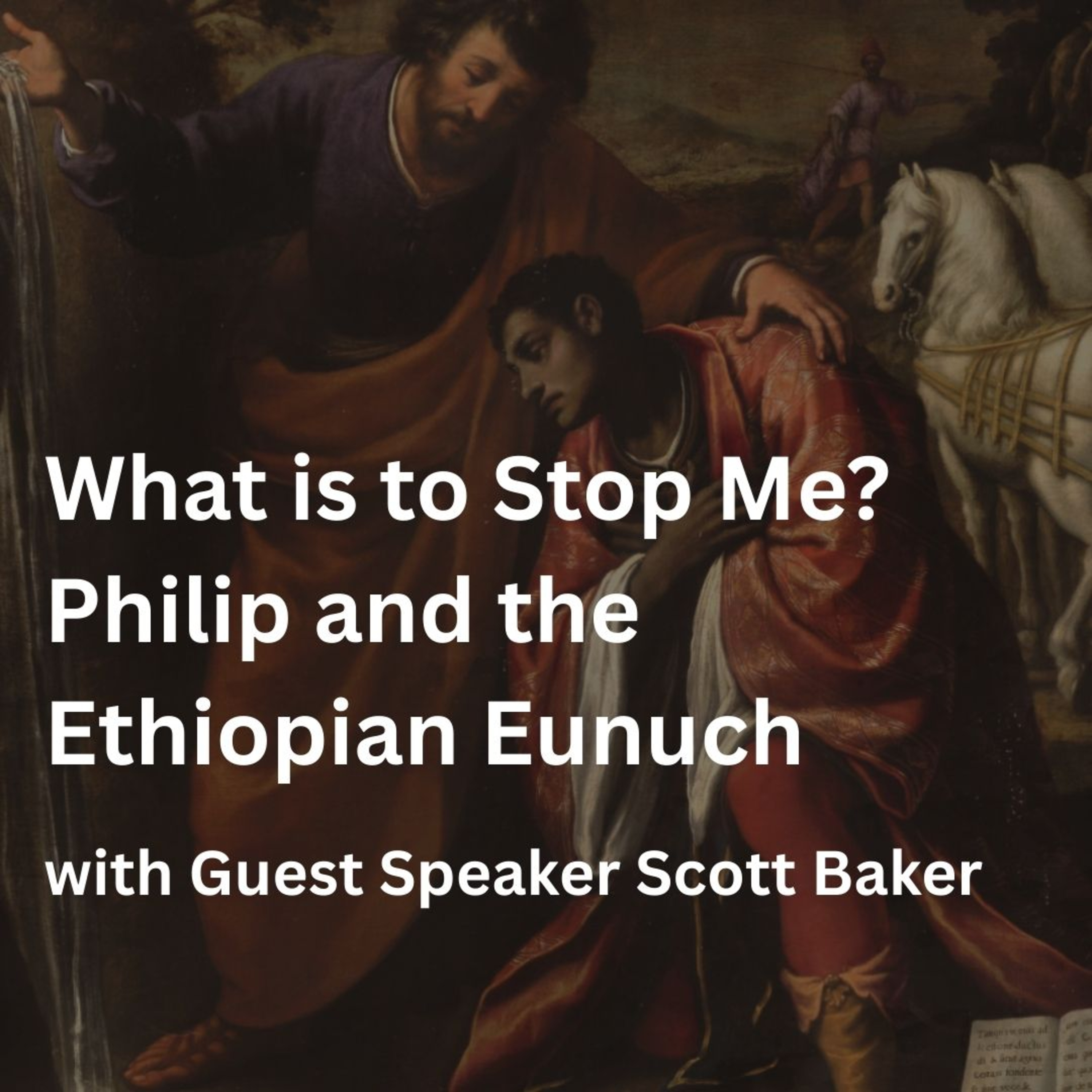 What is to Stop Me?: Philip and the Ethiopian Eunuch (with Guest Speaker Scott Baker) episode artwork