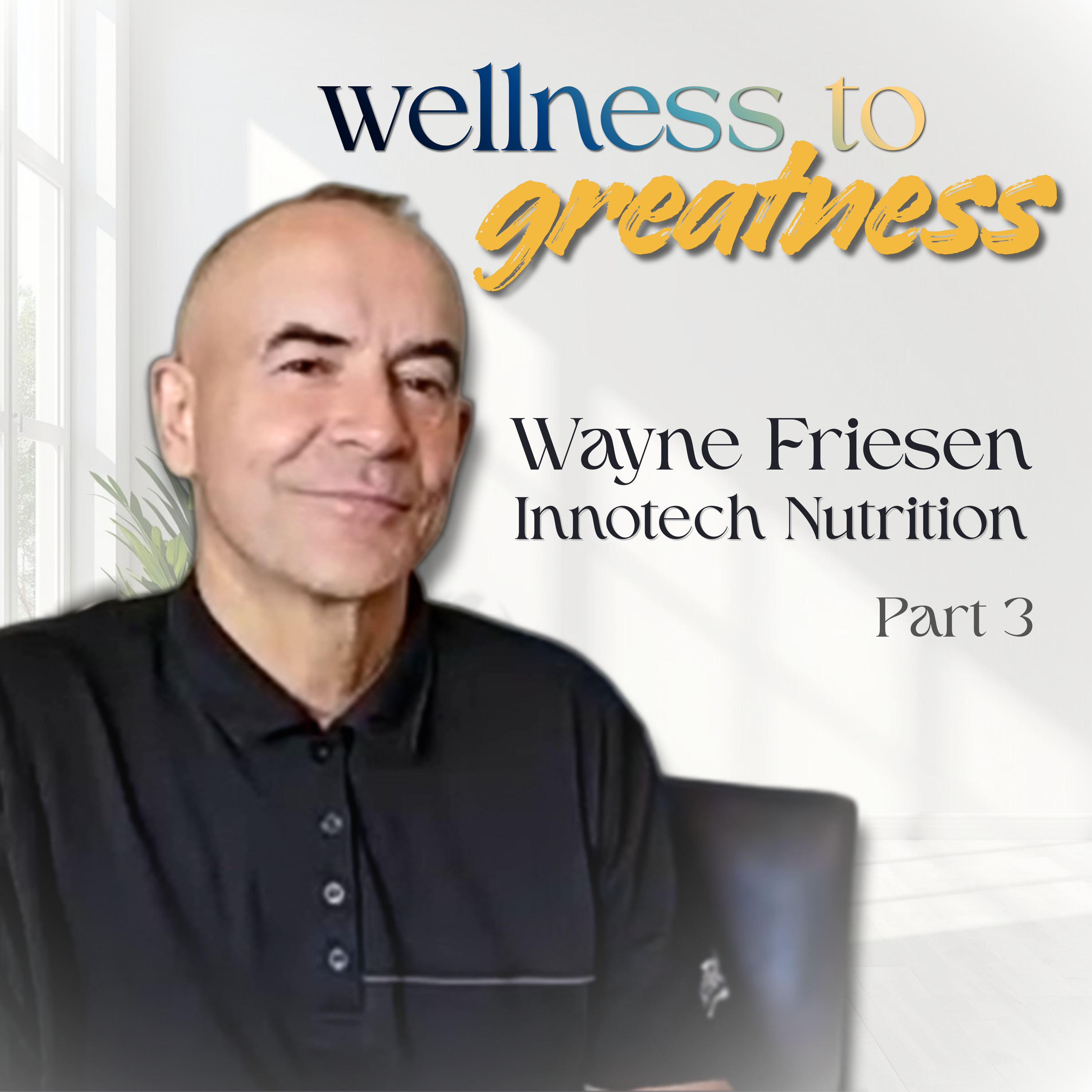 Sugar Cravings, Gut Health & Minerals: Why Your Body Is Asking for More (Part 3) episode artwork