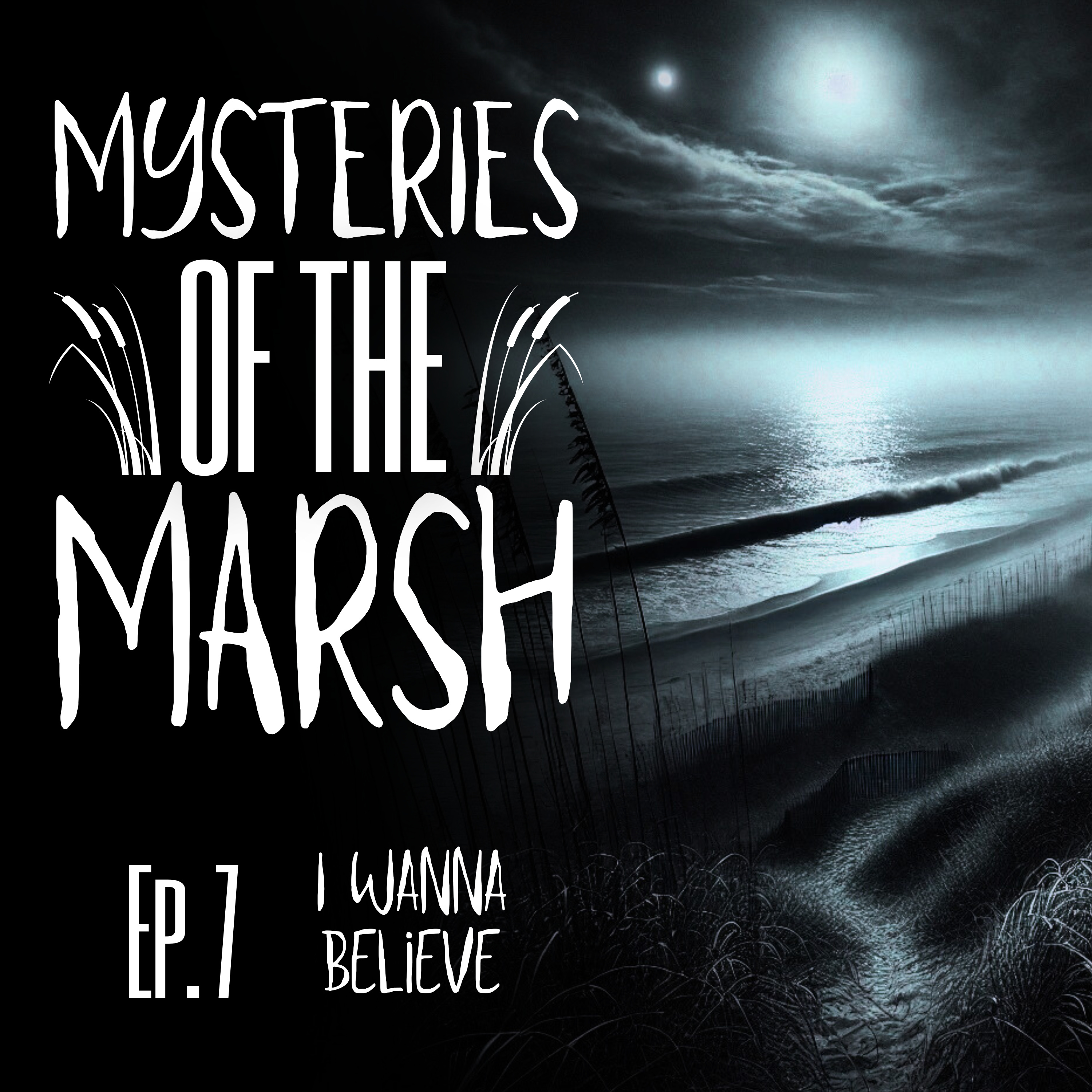 Mysteries of the Marsh Episode 7- I Wanna Believe episode artwork
