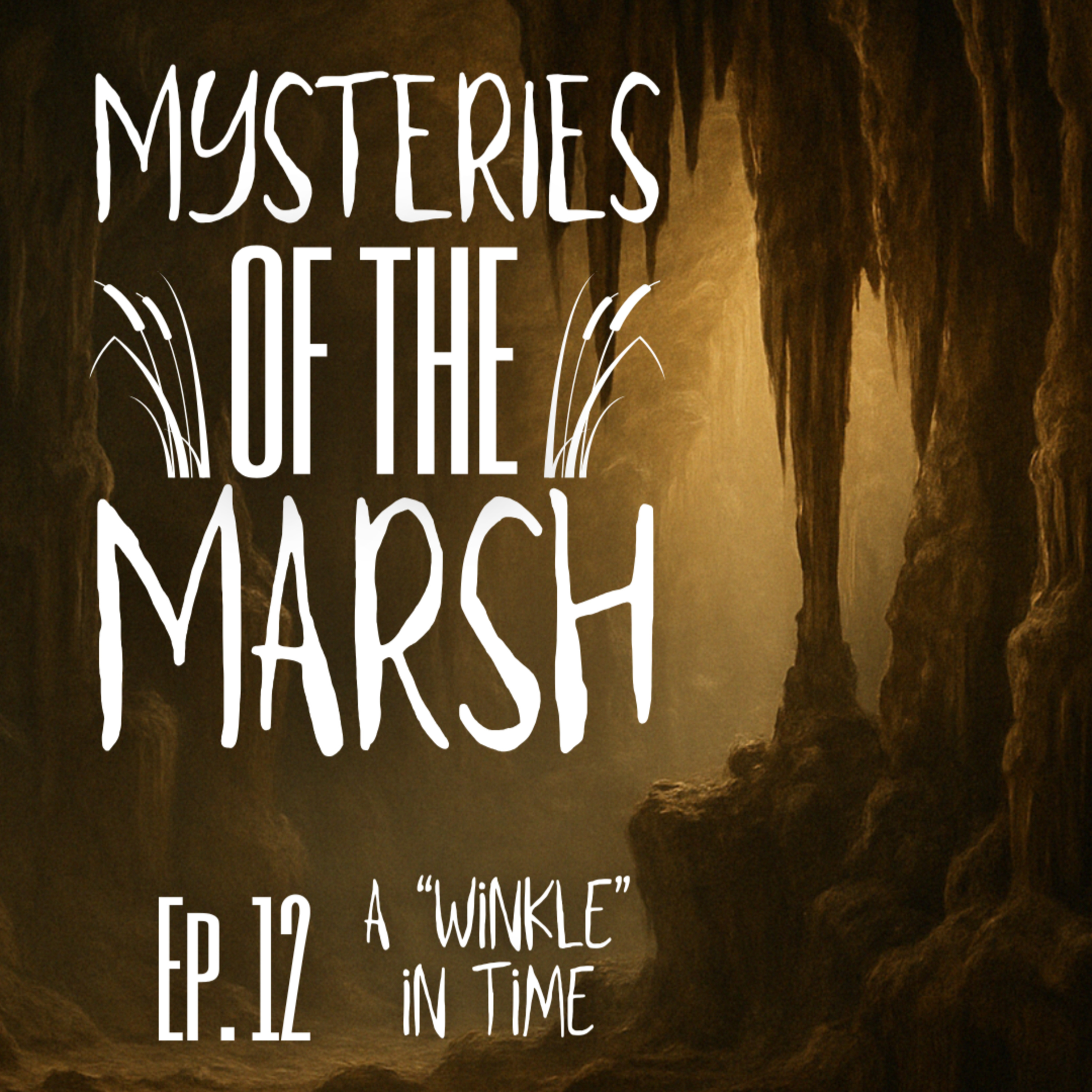 Mysteries of the Marsh Episode 12- A "Winkle" In Time episode artwork