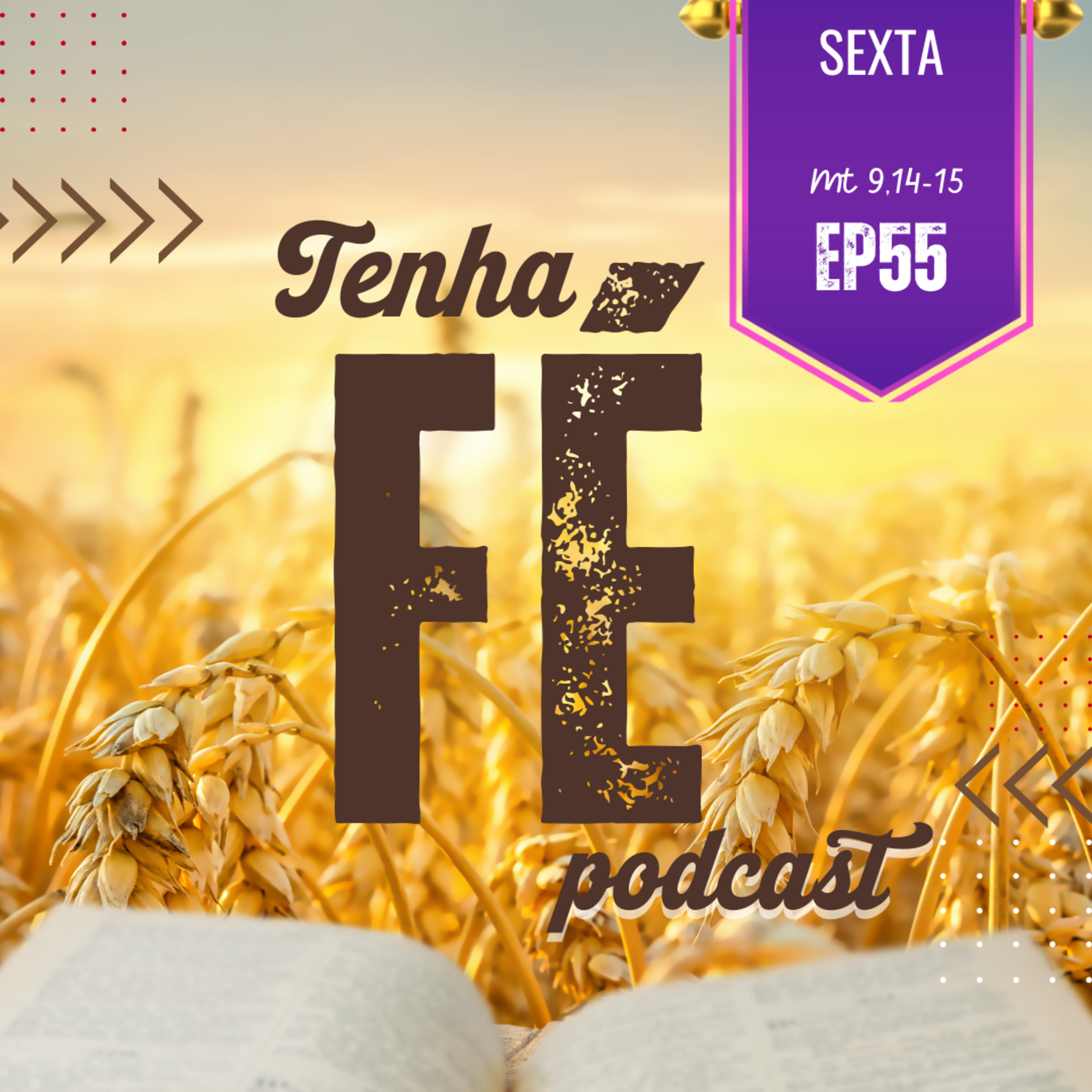 (EP 55) Evangelho do dia 07/06 - Mt 9,14-15