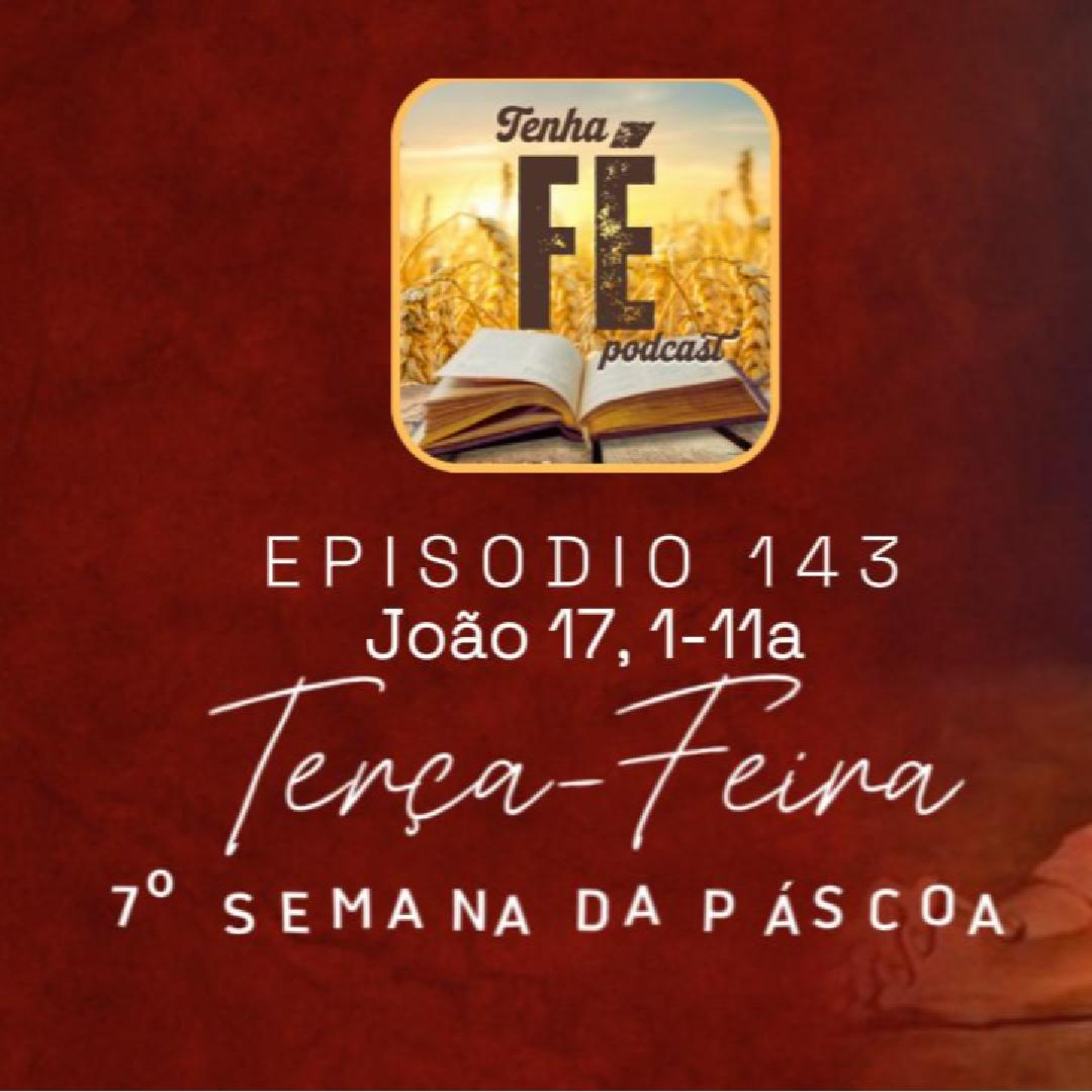 (EP 143) Evangelho do dia 03/06: Jo 17, 1-11a - Ter. da VII Sem. da Páscoa
