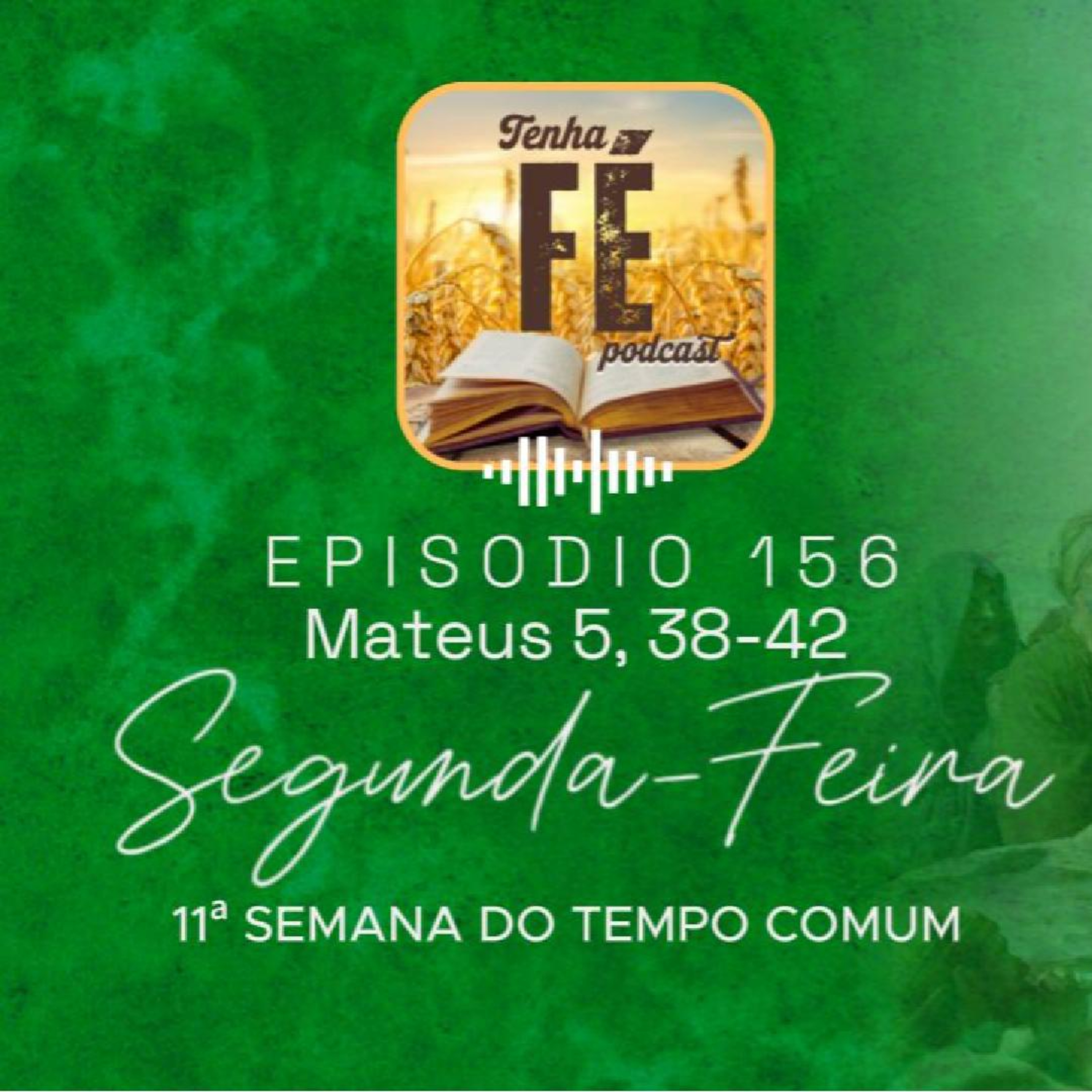 (EP 156) Evangelho do dia 16/05: Mt 5, 38-42 - Seg. da 11ª Sem. do T. Comum