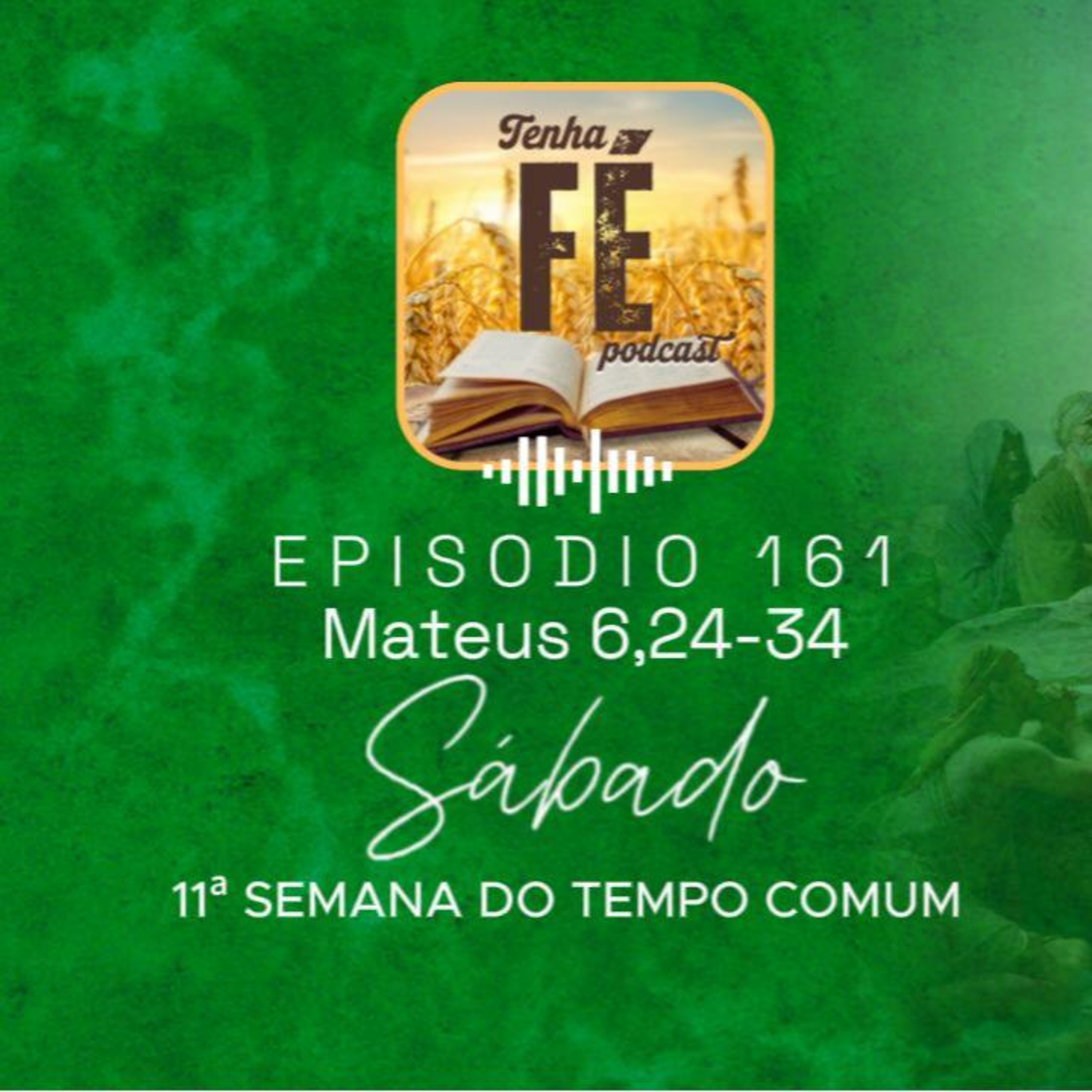 (EP 161) Evangelho do dia 21/06: Mt 6,24-34 - Sáb. da 11ª Sem. do T. Comum