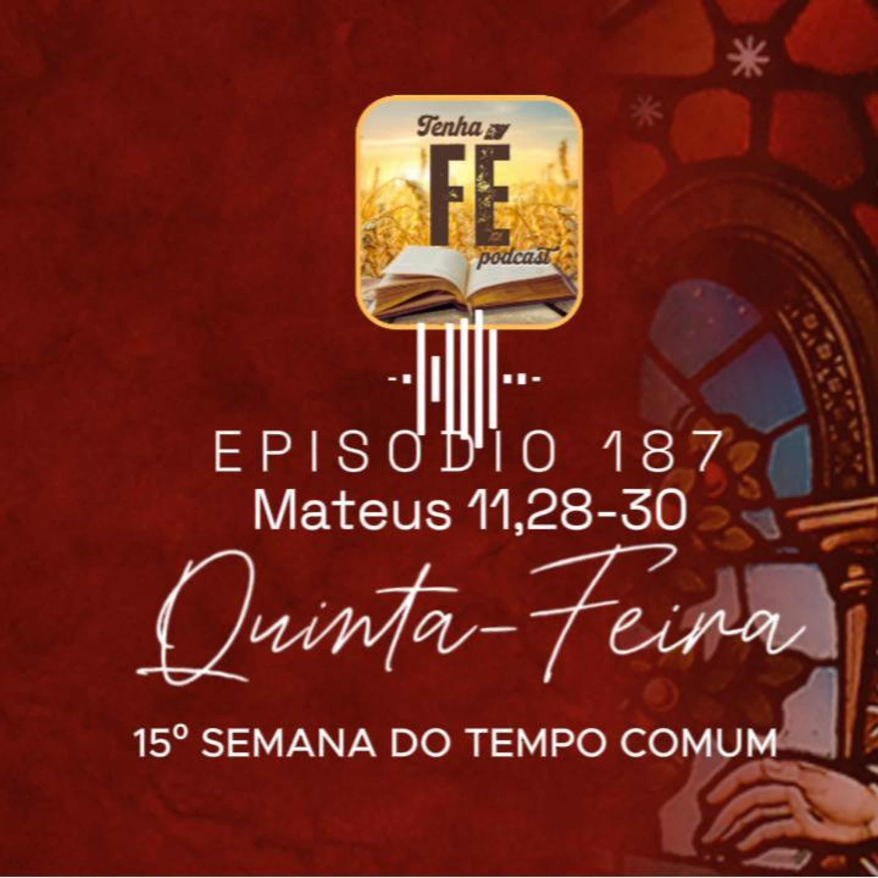 (EP 187) Evangelho do dia 17/07: Mt 11,28-30 - Qui. da 15ª Sem. do T. Comum