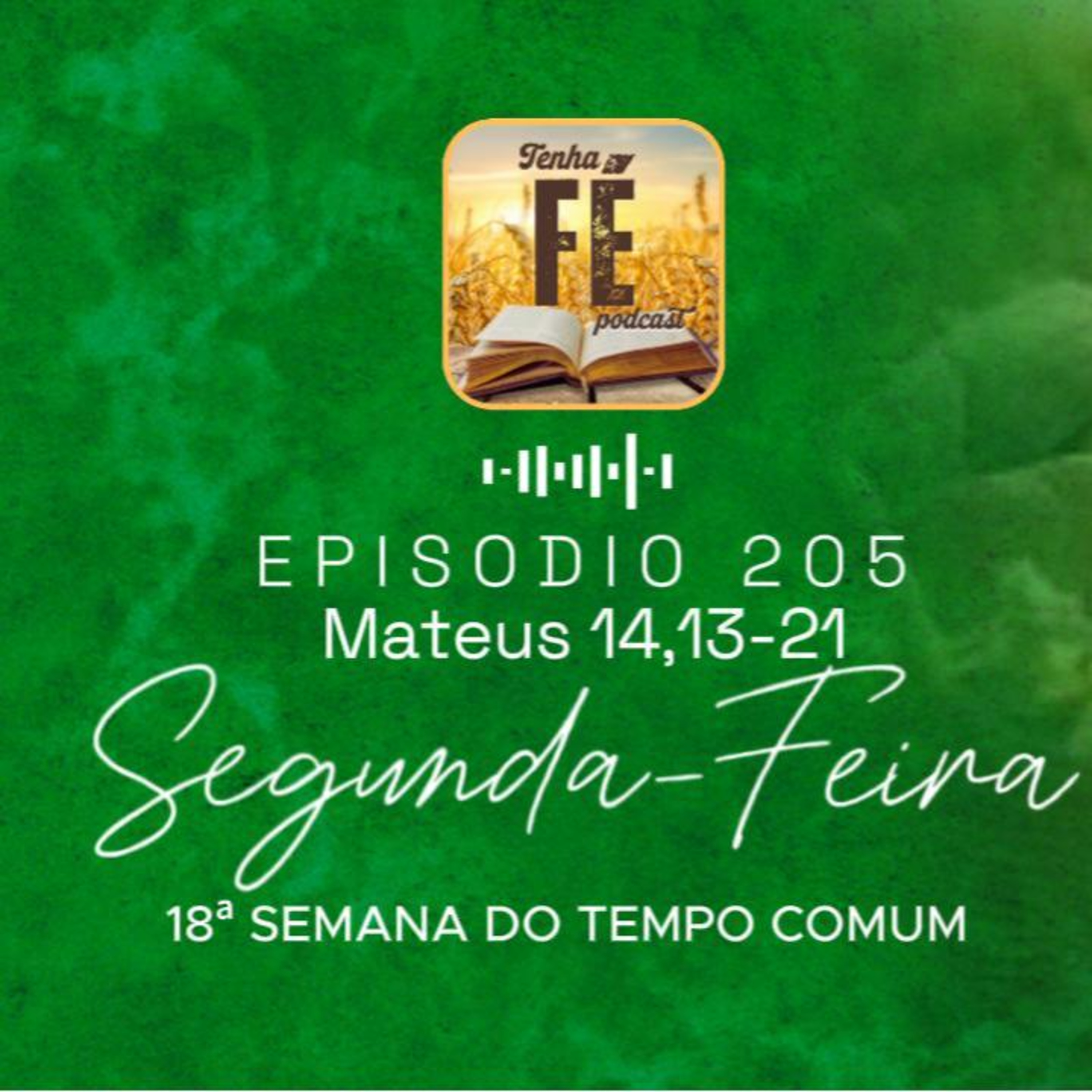 (EP 205) Evangelho do dia 04/08: Mt 14,13-21 - Seg. da 18ª Sem. do T. Comum