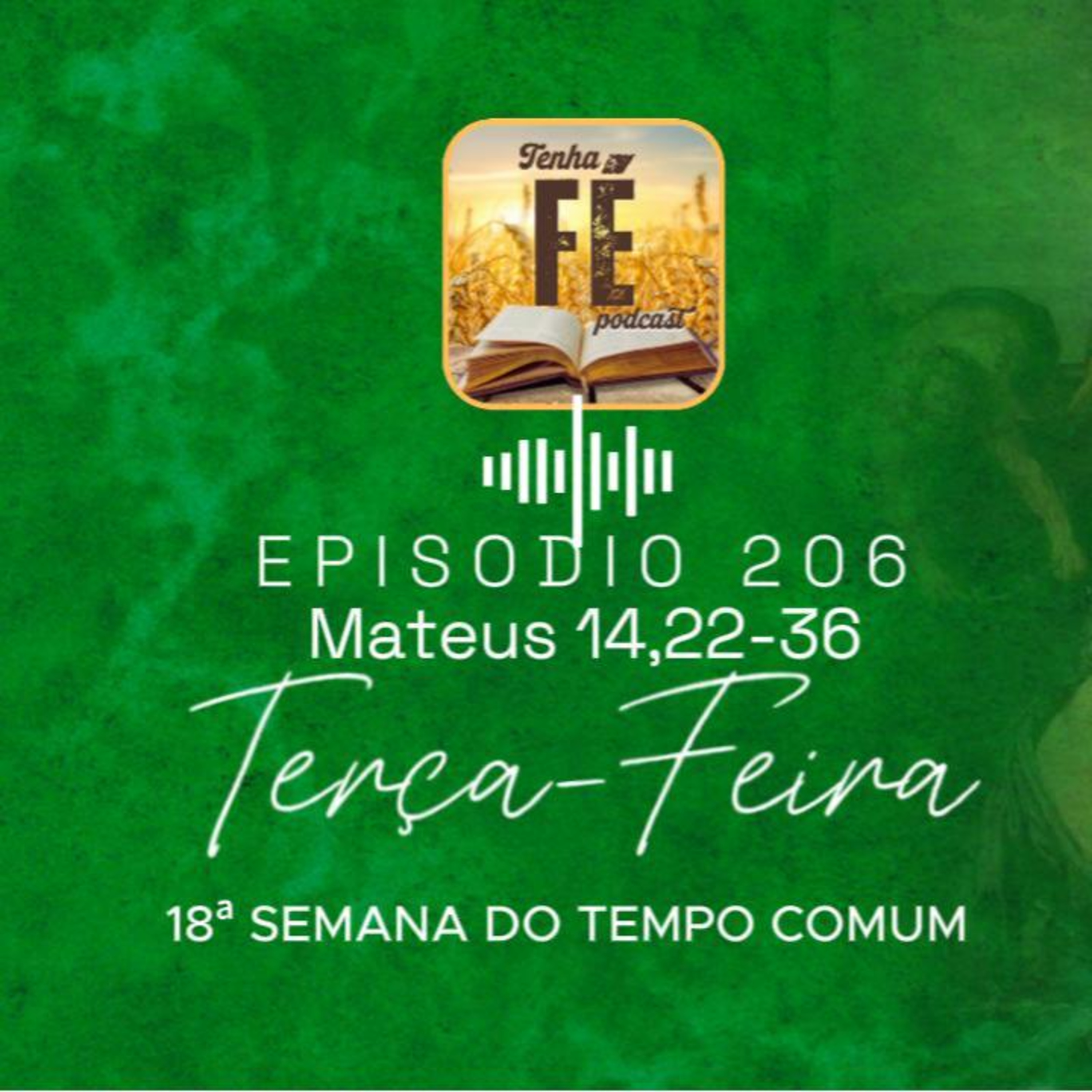 (EP 206) Evangelho do dia 05/08: Mt 14,22-36 - Ter. da 18ª Sem. do T. Comum