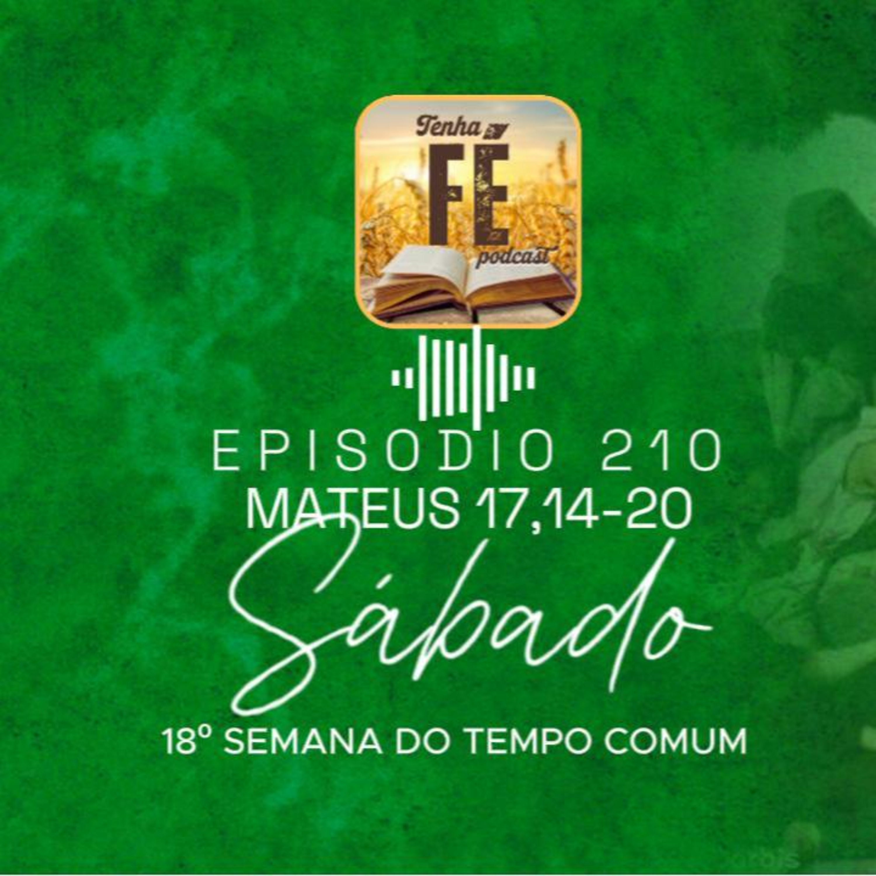 (EP 210) Evangelho do dia 09/08: Mt 17,14-20 - Sáb. da 18ª Sem. do T. Comum