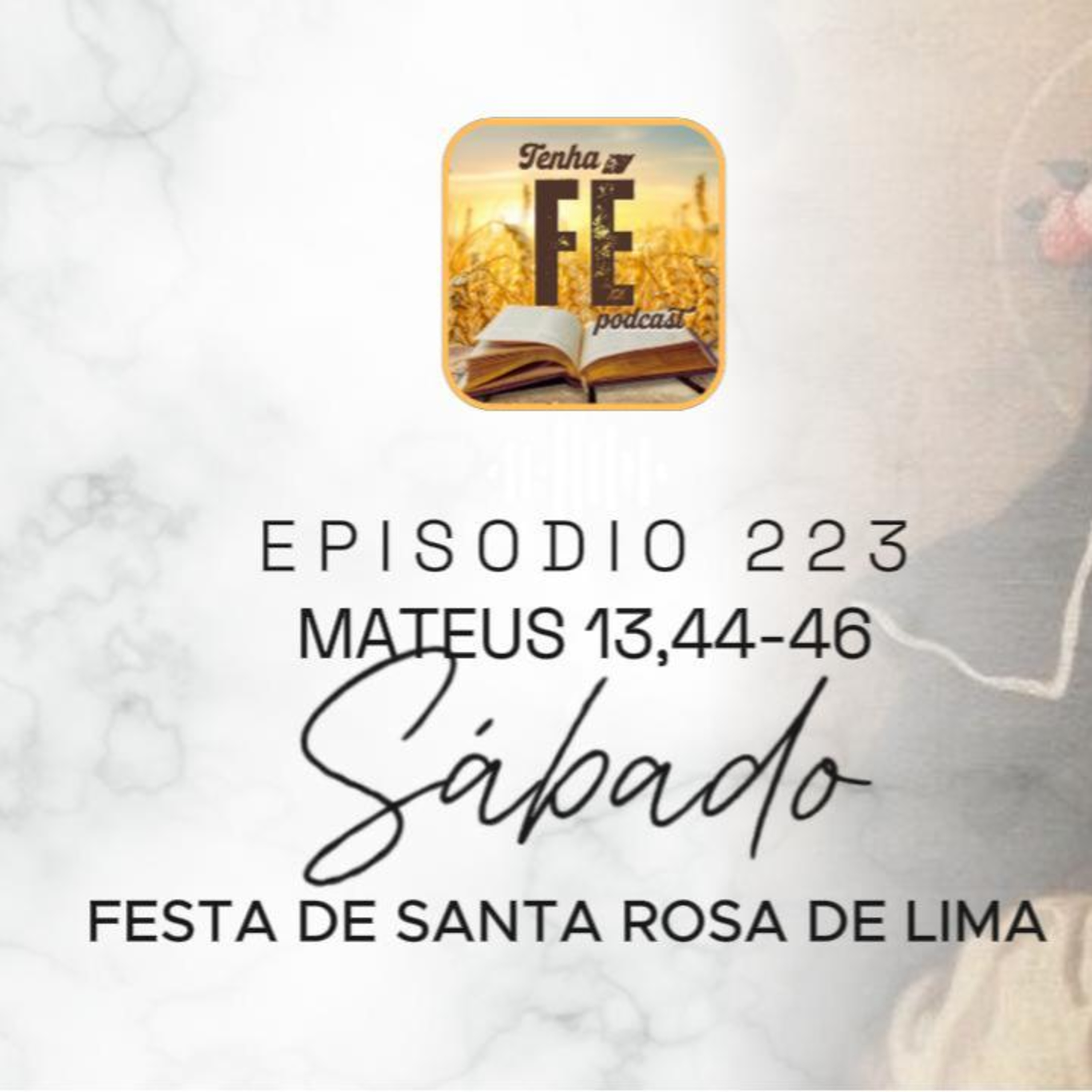 (EP 224) Evangelho do dia 23/08: Mt 13,44-46 - Festa de Sta. Rosa de Lima
