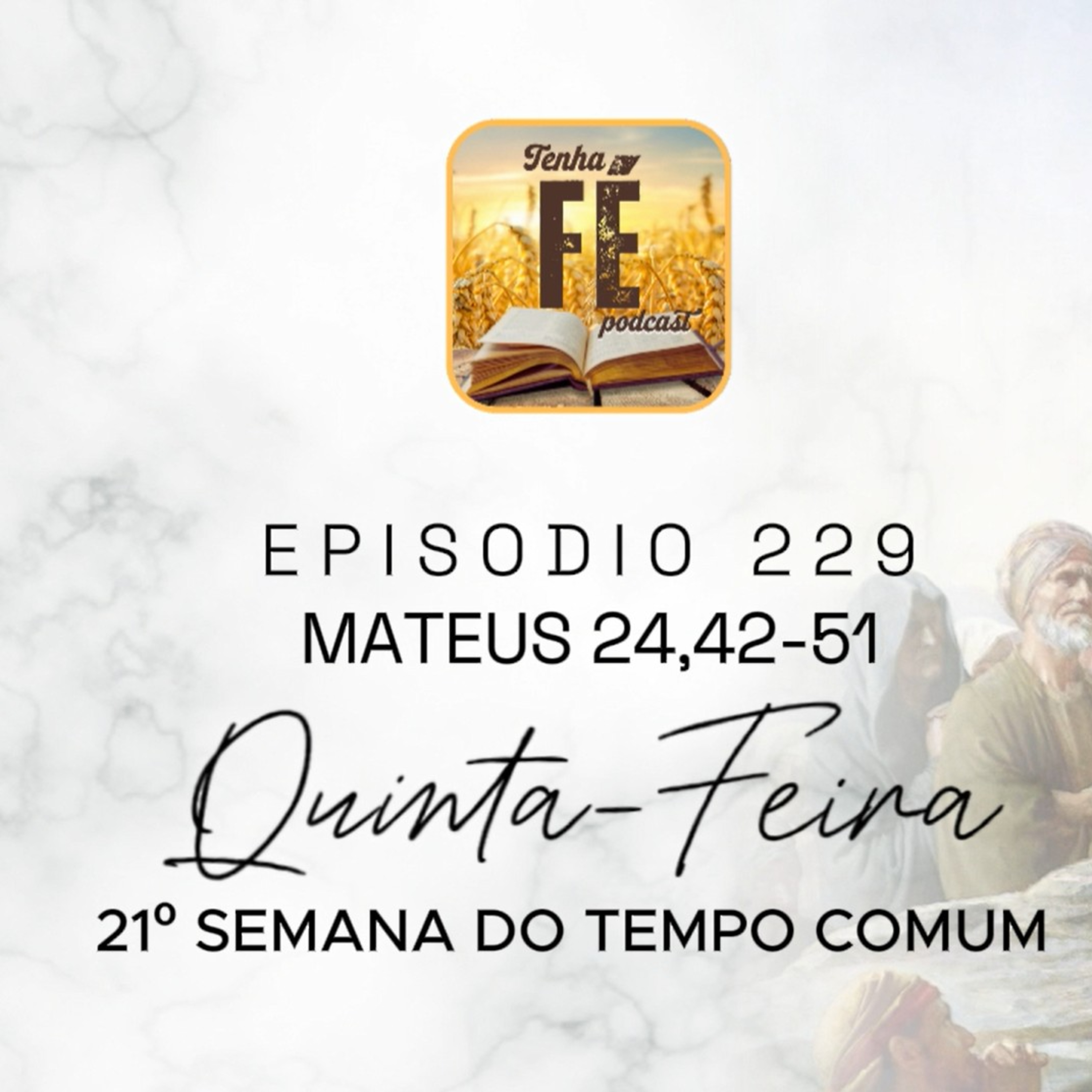 (EP 229) Evangelho do dia 28/08: Mt 24,42-51 - Qui. da 21ª Sem. do T. Comum