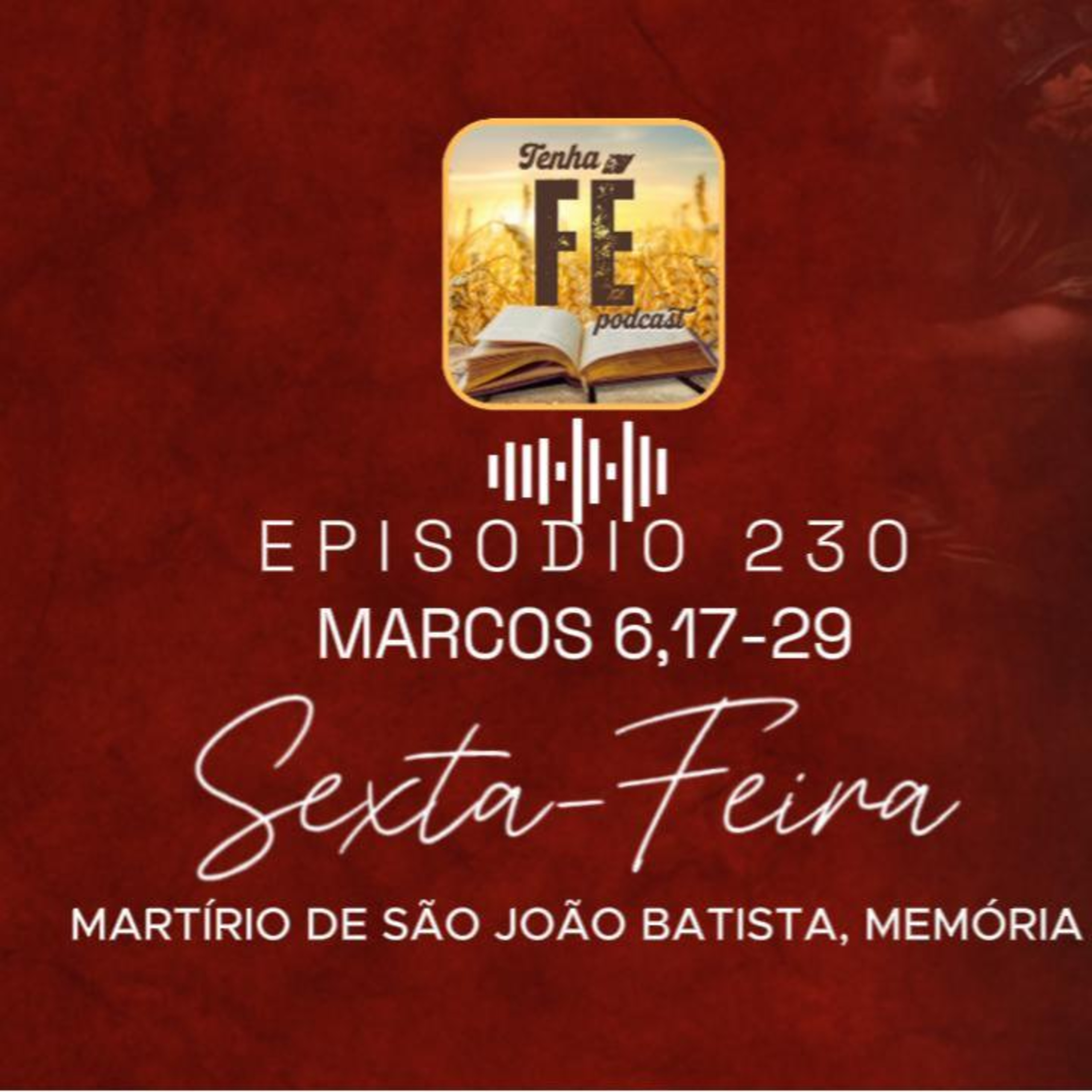 (EP 230) Evangelho do dia 29/08: Mc 6,17-29 - Martírio de São João Batista, memória