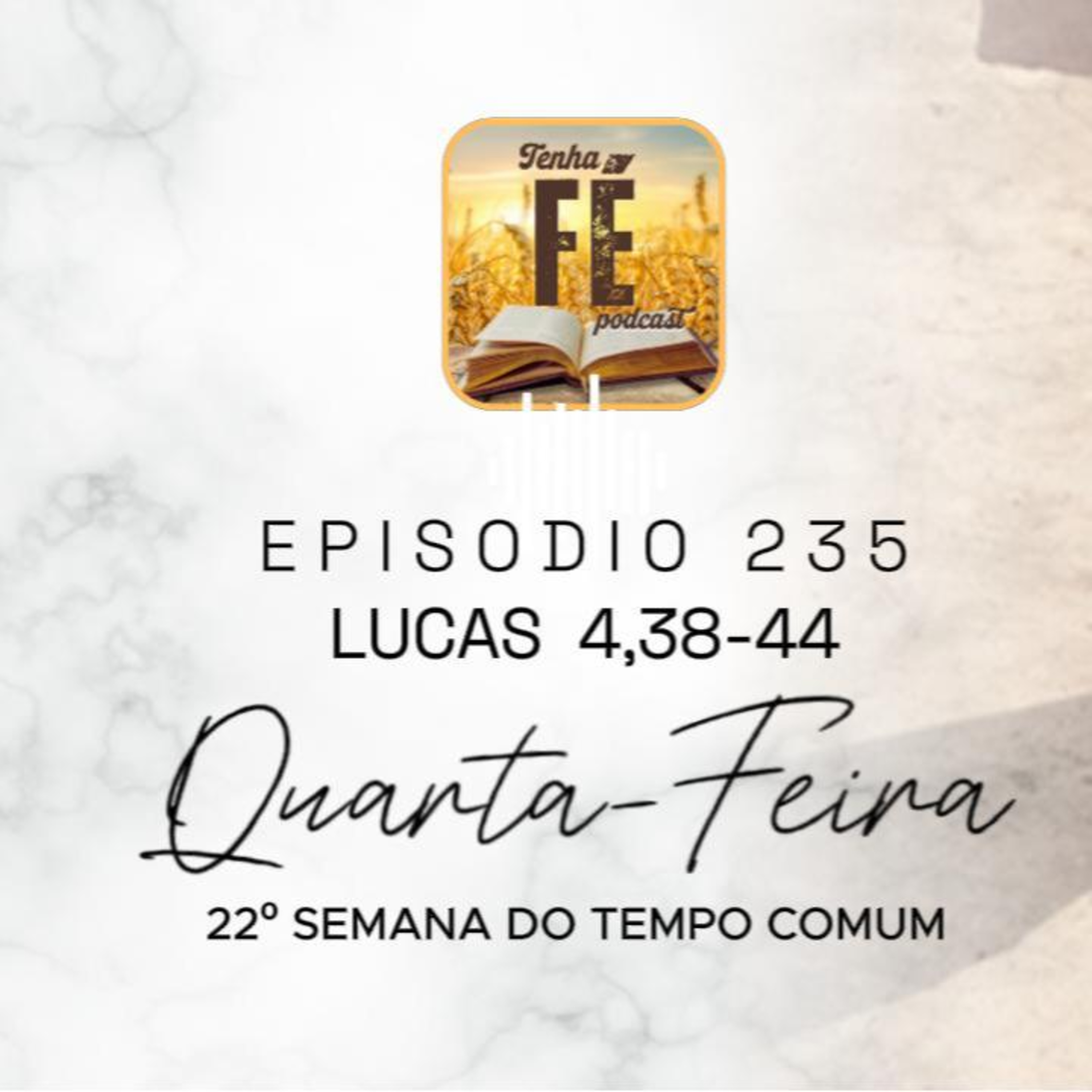(EP 235) Evangelho do dia 03/09 - Lc 4, 38-44 - Qua. da 22ª Sem. do T. Comum