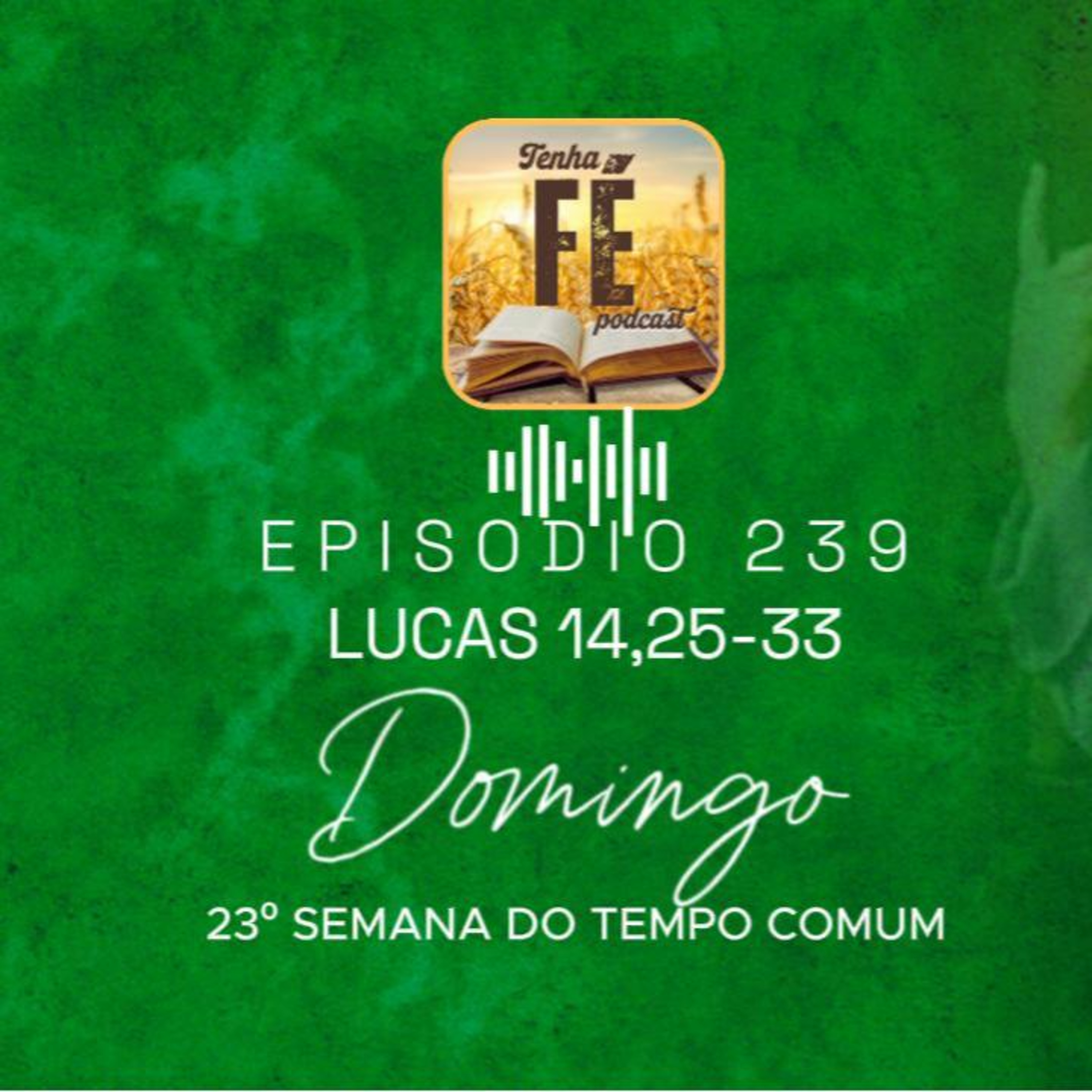 (EP 239) Evangelho do dia 07/09: Lucas 14, 25-33 - 23º Dom. do Tempo Comum - Ano C