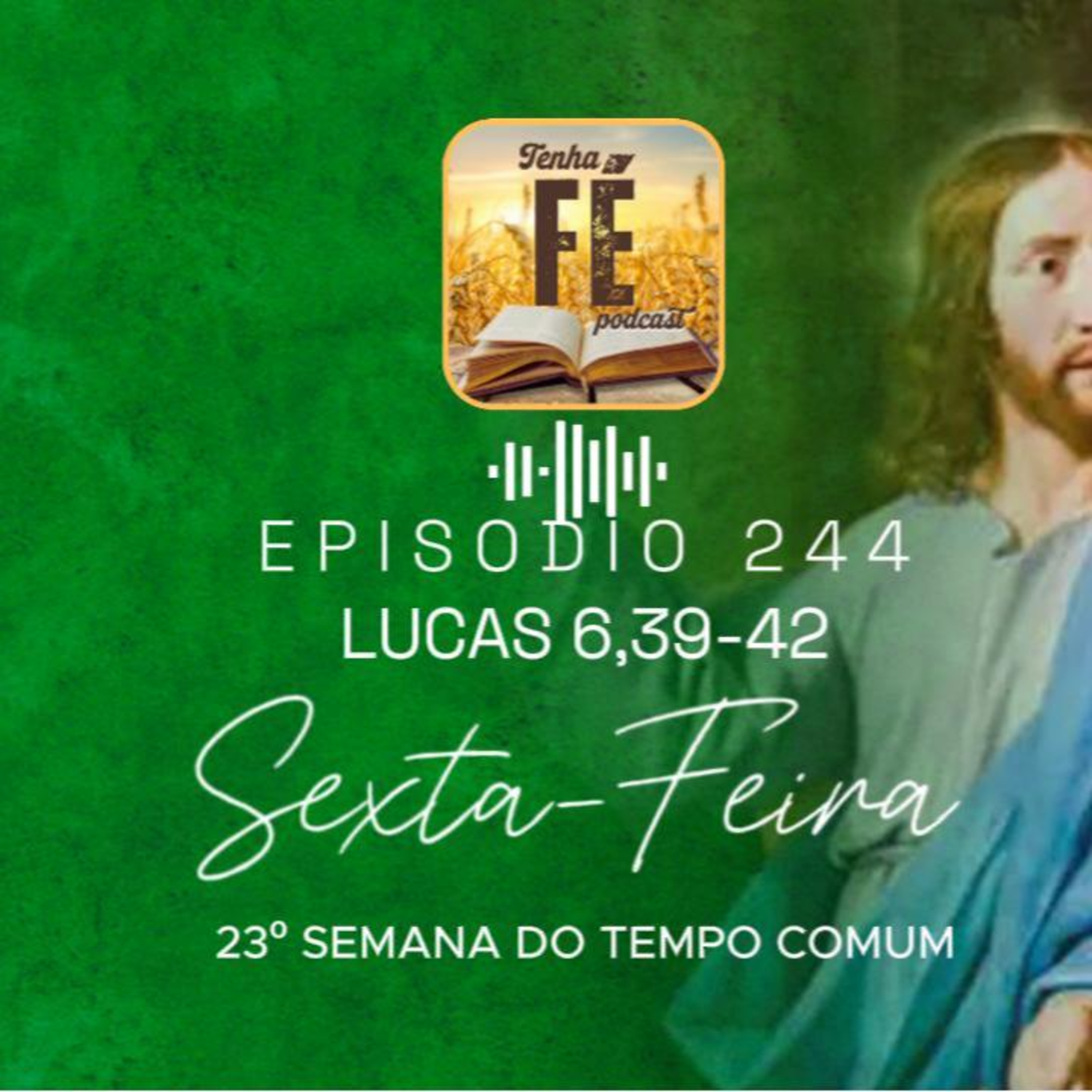 (EP 244) Evangelho do dia 12/09 - Lc 6, 39-42 - Sex. da 23ª Sem. do T. Comum