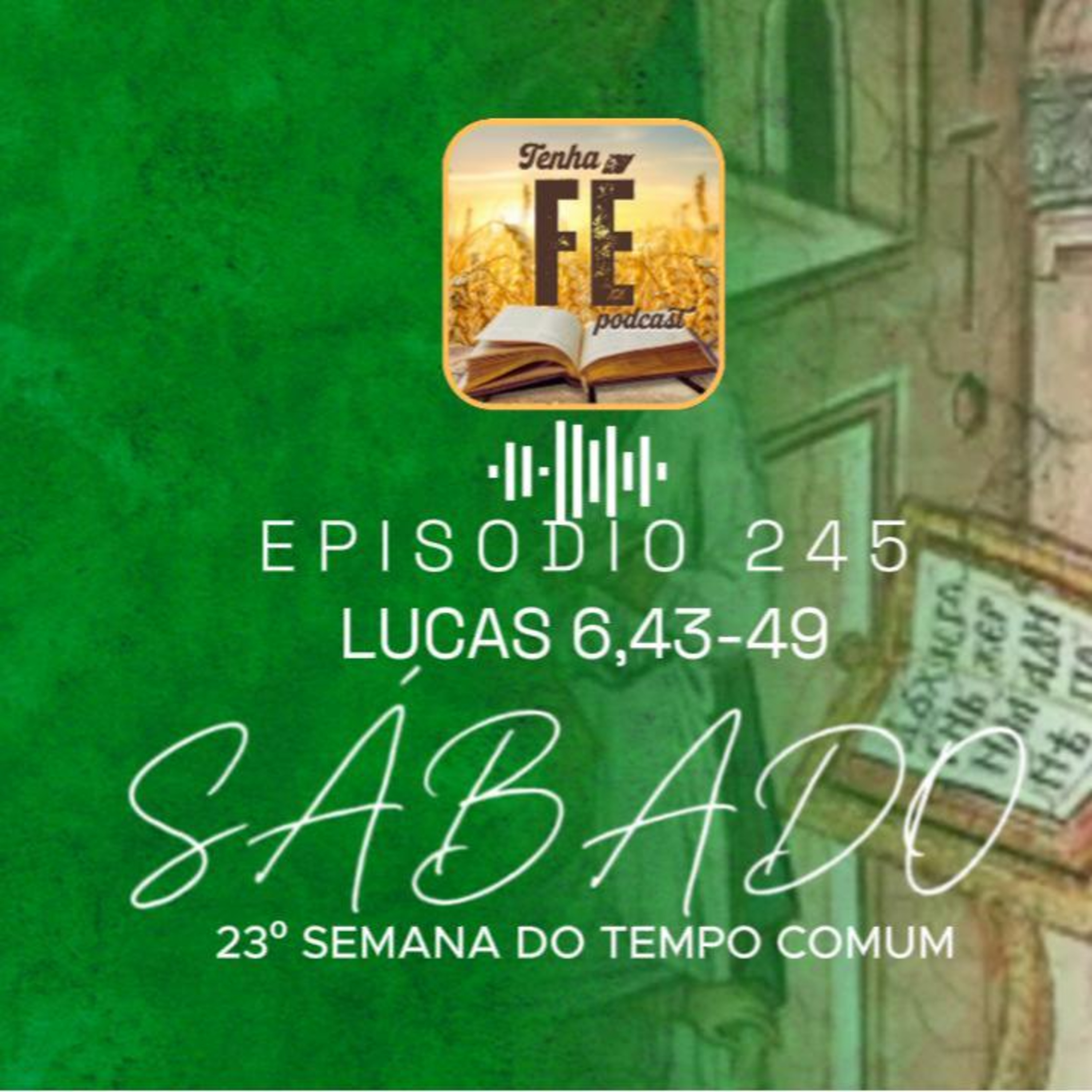 (EP 245) Evangelho do dia 13/09 - Lc 6,43-49 - Sab. da 23ª Sem. do T. Comum
