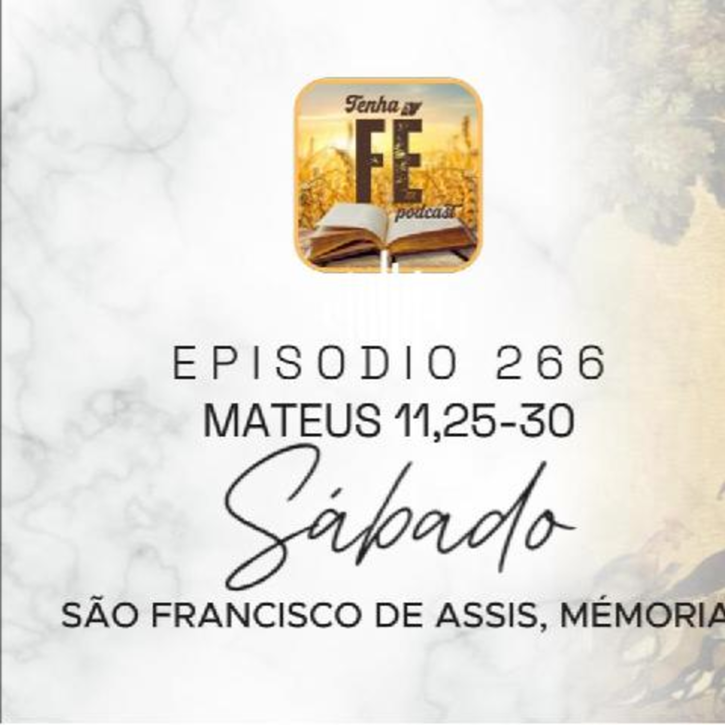 (EP 266) Evangelho do dia 04/10: Mt 11,25-30 - São Francisco de Assis, memória.