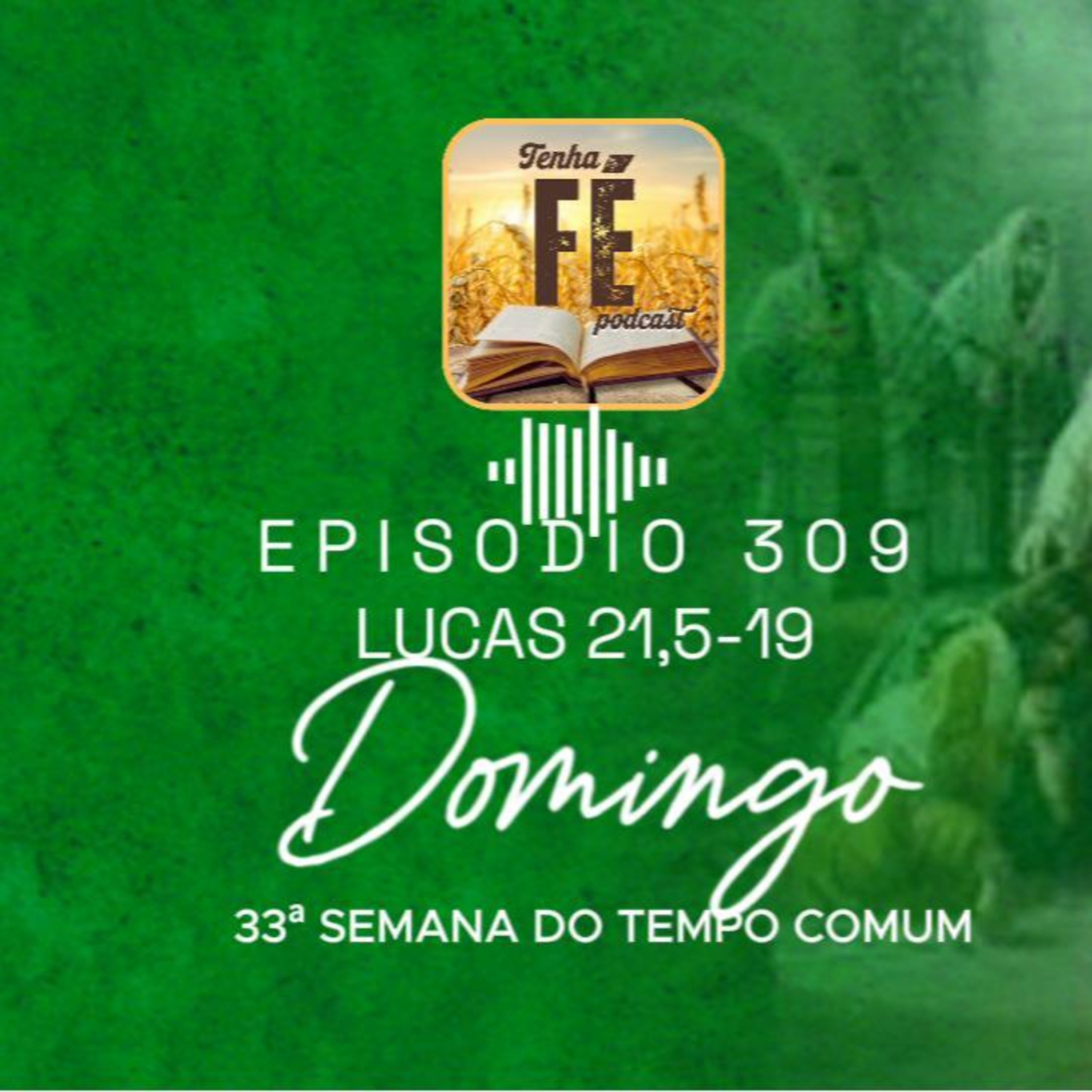 (EP 309) Evangelho do dia 16/11: Lc 21, 5-19 - 33º Dom. do T. Comum - Ano C