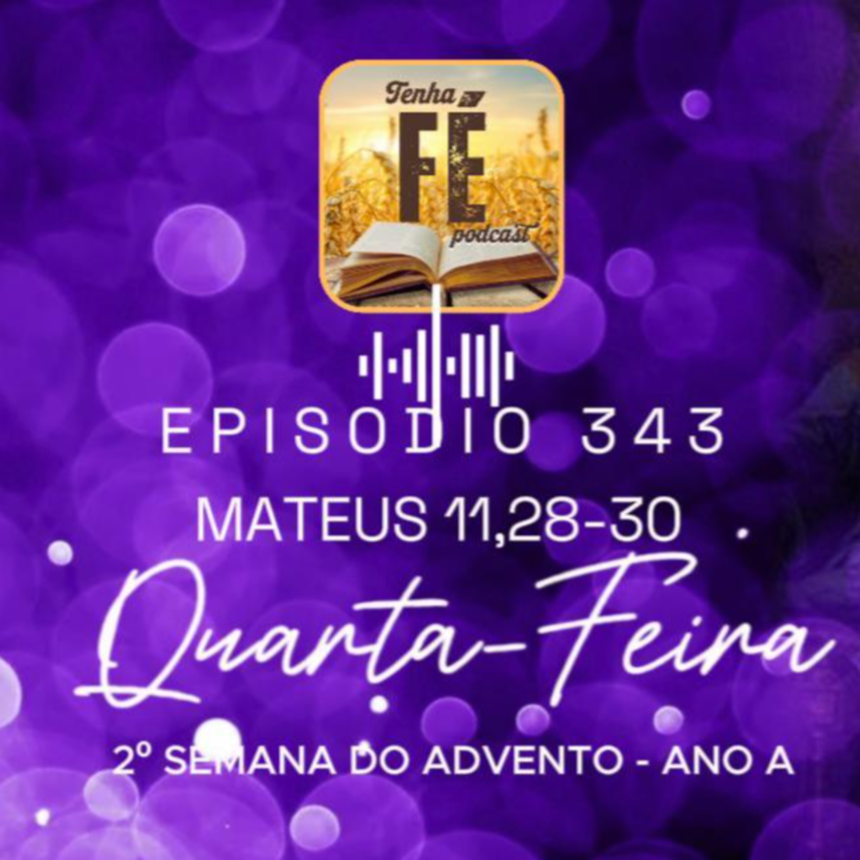 (EP 343) Evangelho do dia 10/12: Mt 11, 28-30 - Qua. da 2ª Sem. do Advento