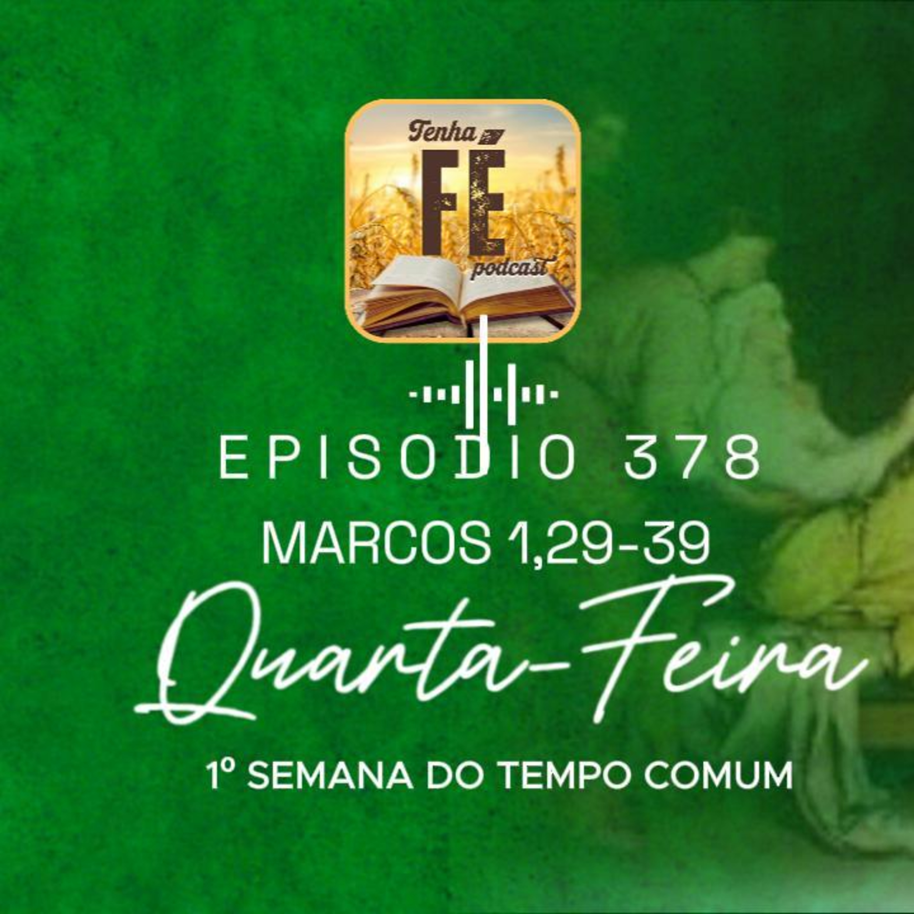Evangelho do dia 14/01: Mc 1,29-39 - Qua. da I Sem. do T. Comum
