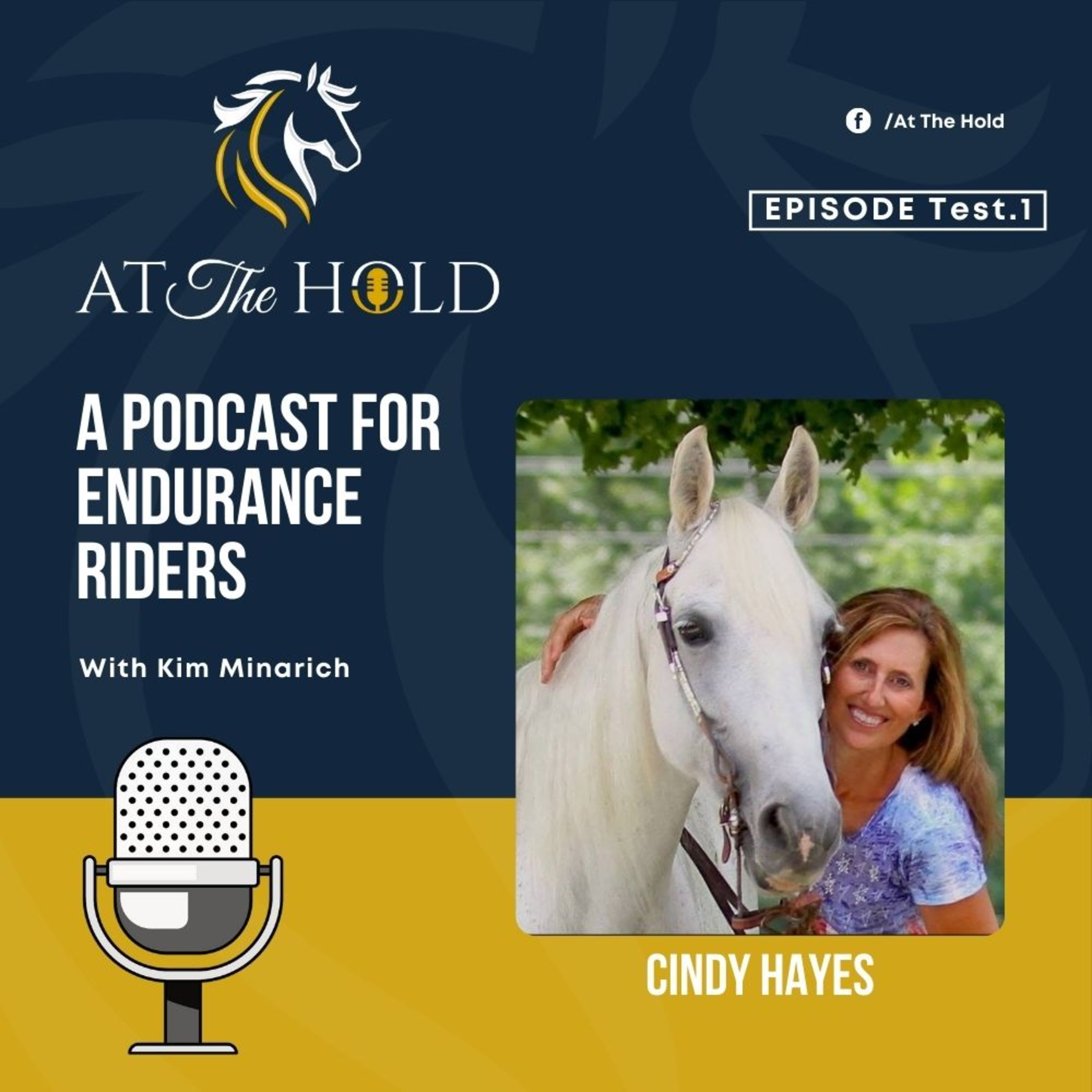 At The Hold: A Podcast for Endurance Riders