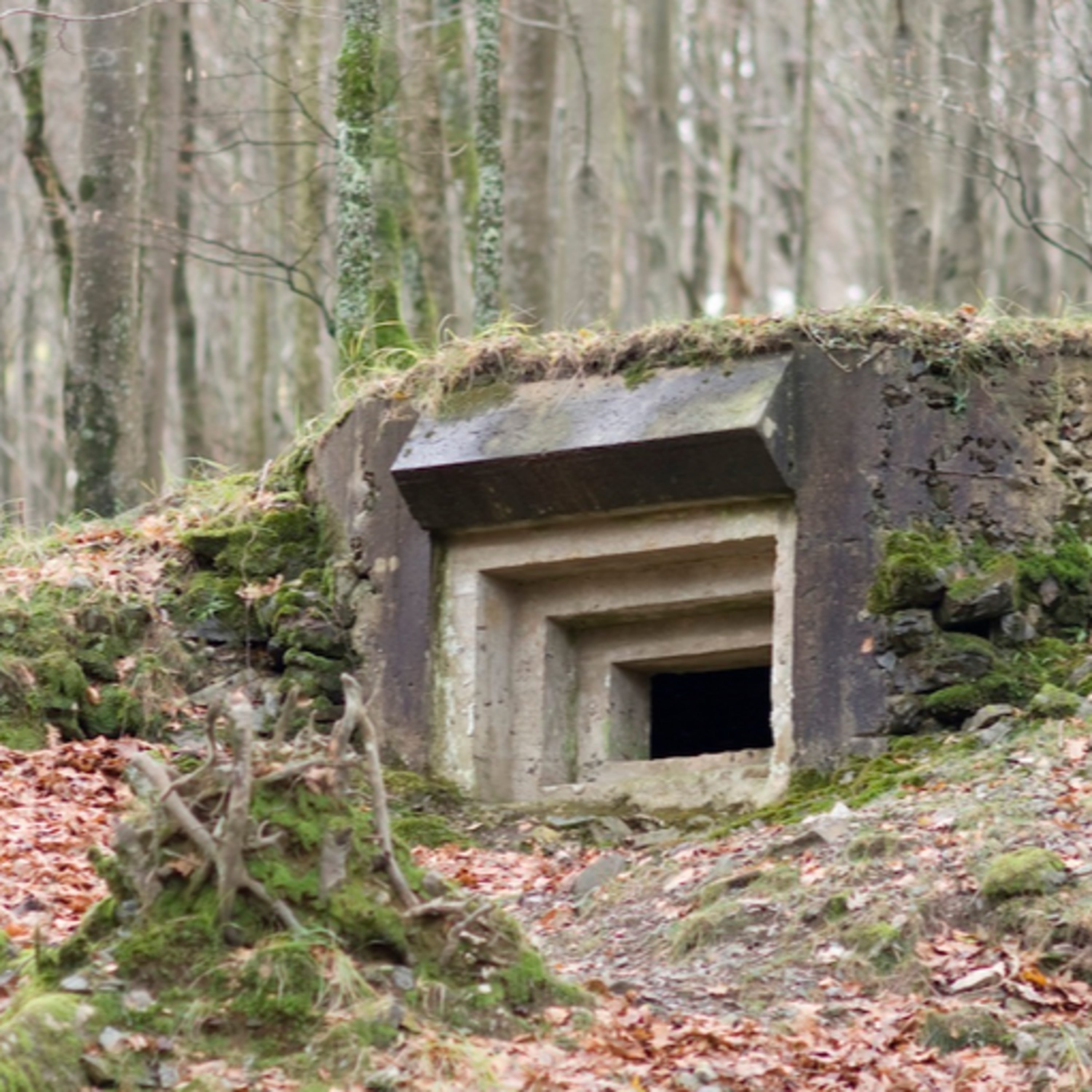 La Línia P: la muralla secreta de Franco als Pirineus