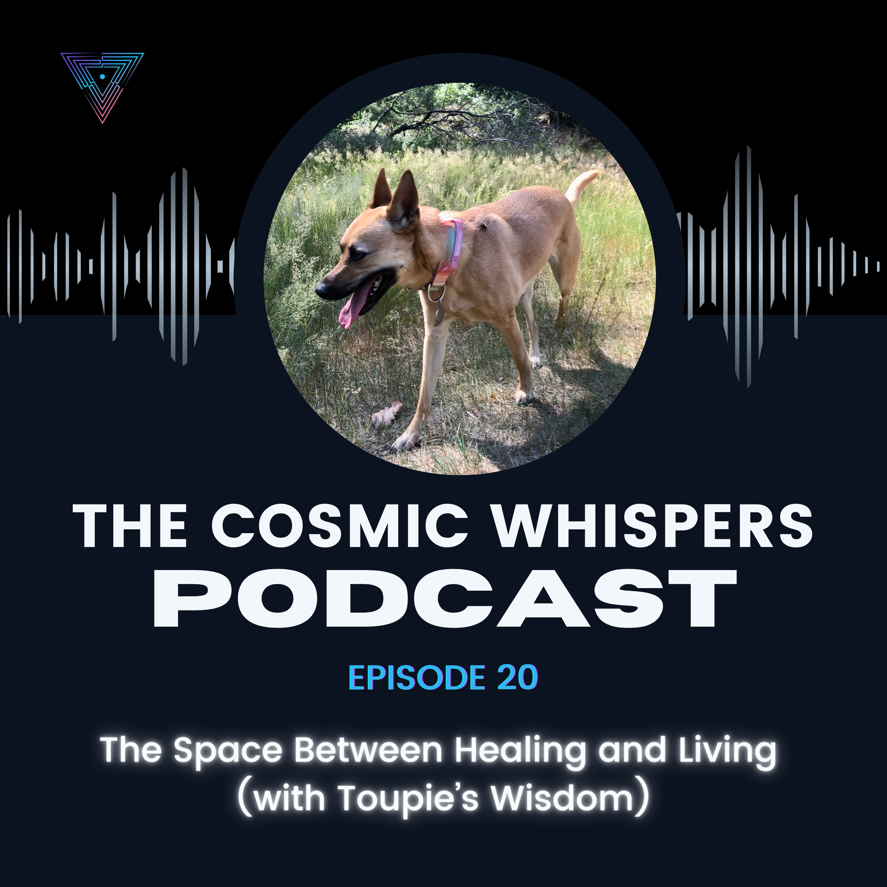 The Space Between Healing and Living (with Toupie’s Wisdom) episode artwork