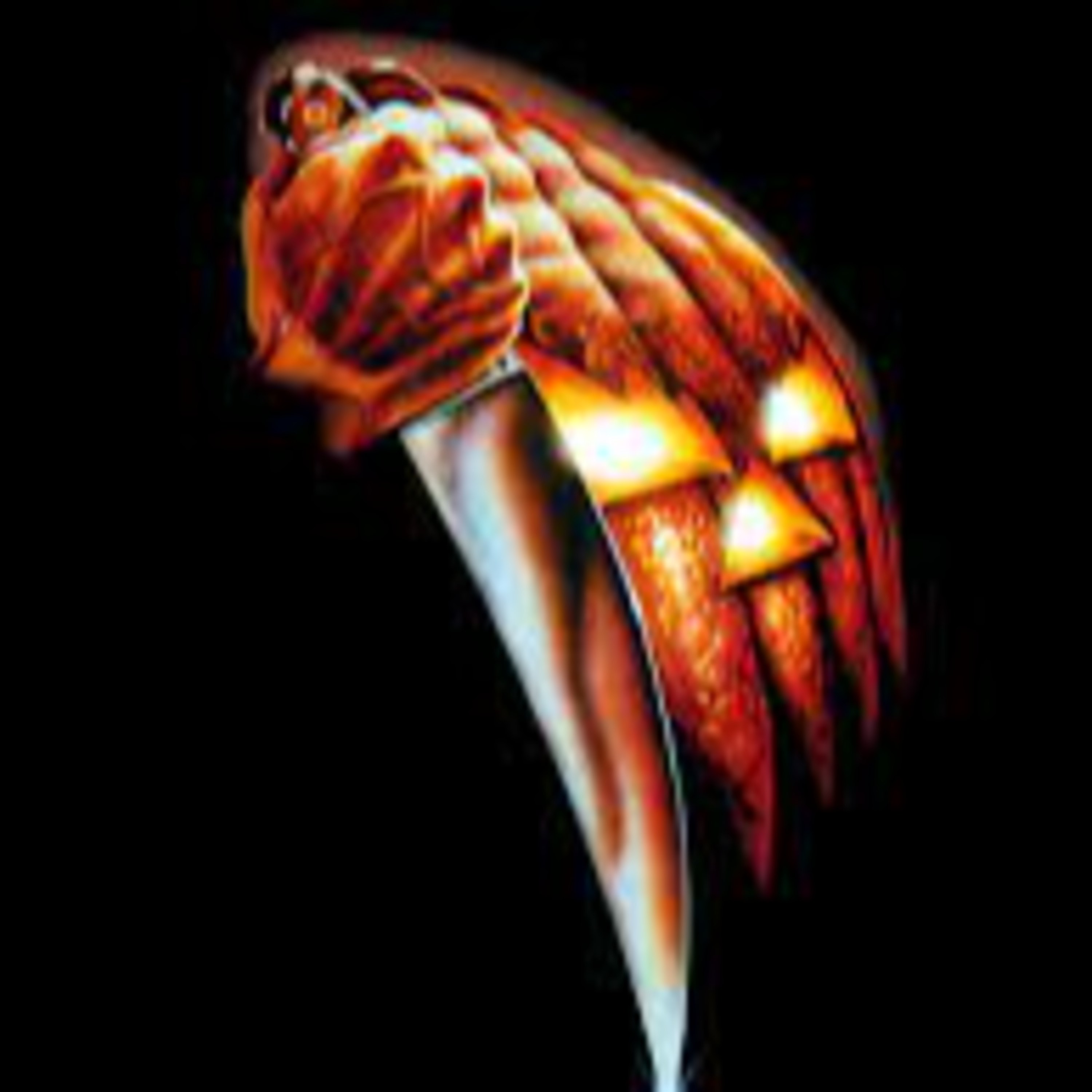 Back Through The Lens