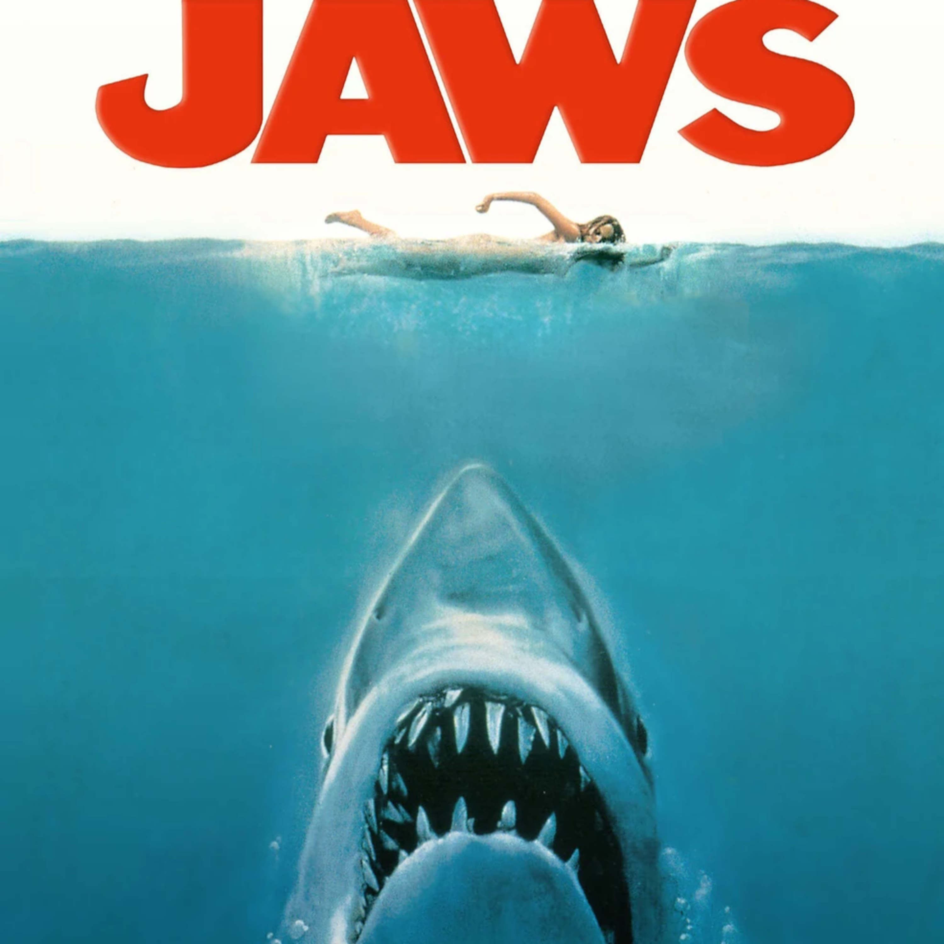 Back Through The Lens