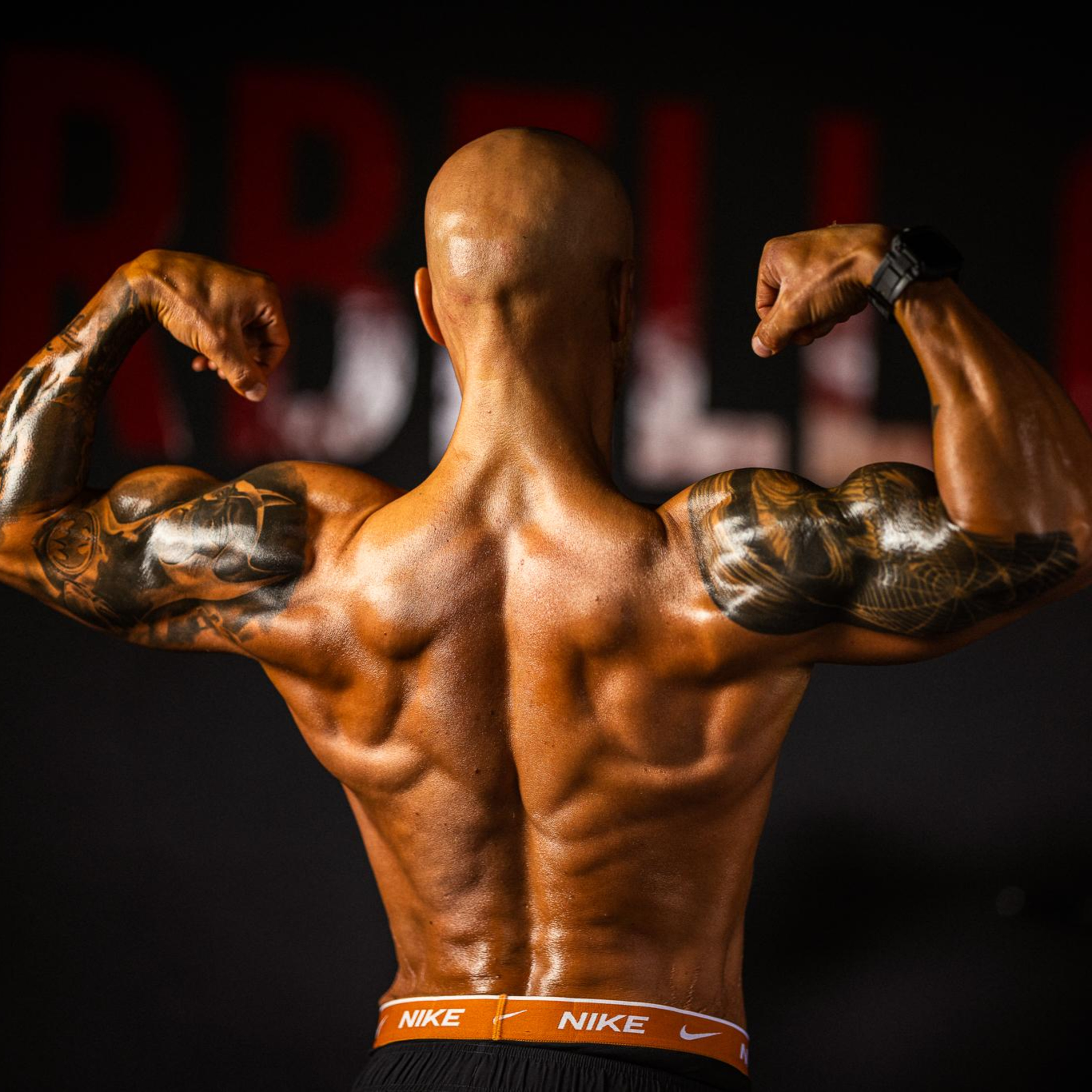 TheWorkoutBench