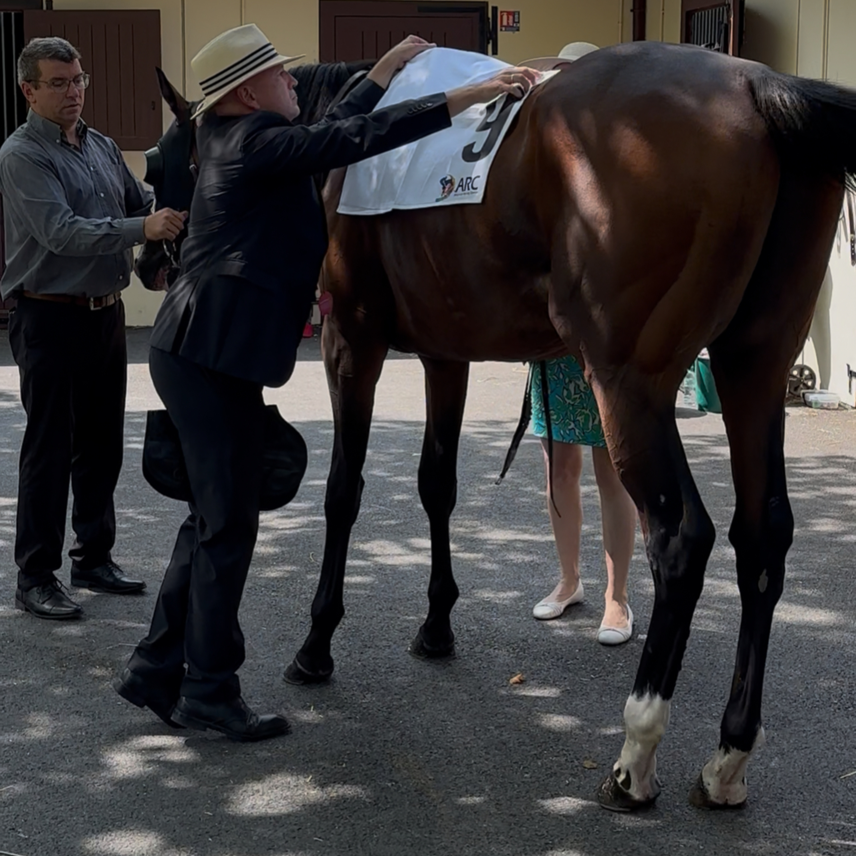 Rennpferde-Trainer Michael Figge