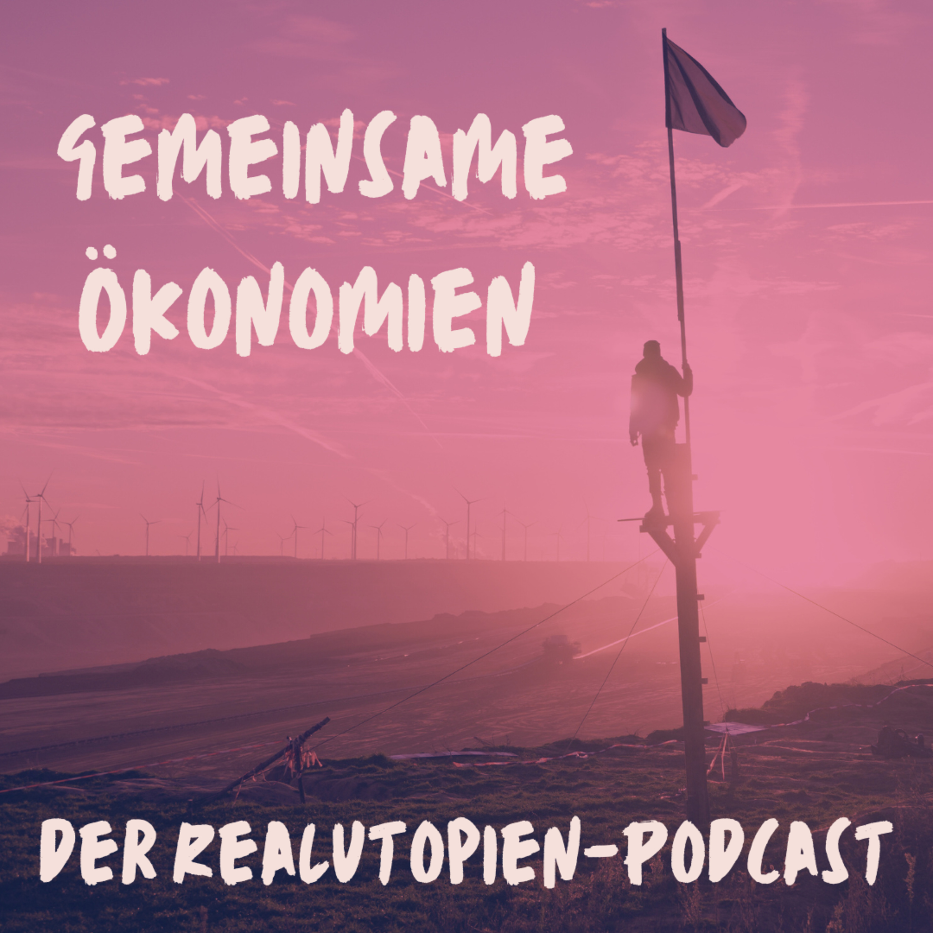 Geld und gemeinsame Ökonomien - Interview mit Fomo episode artwork