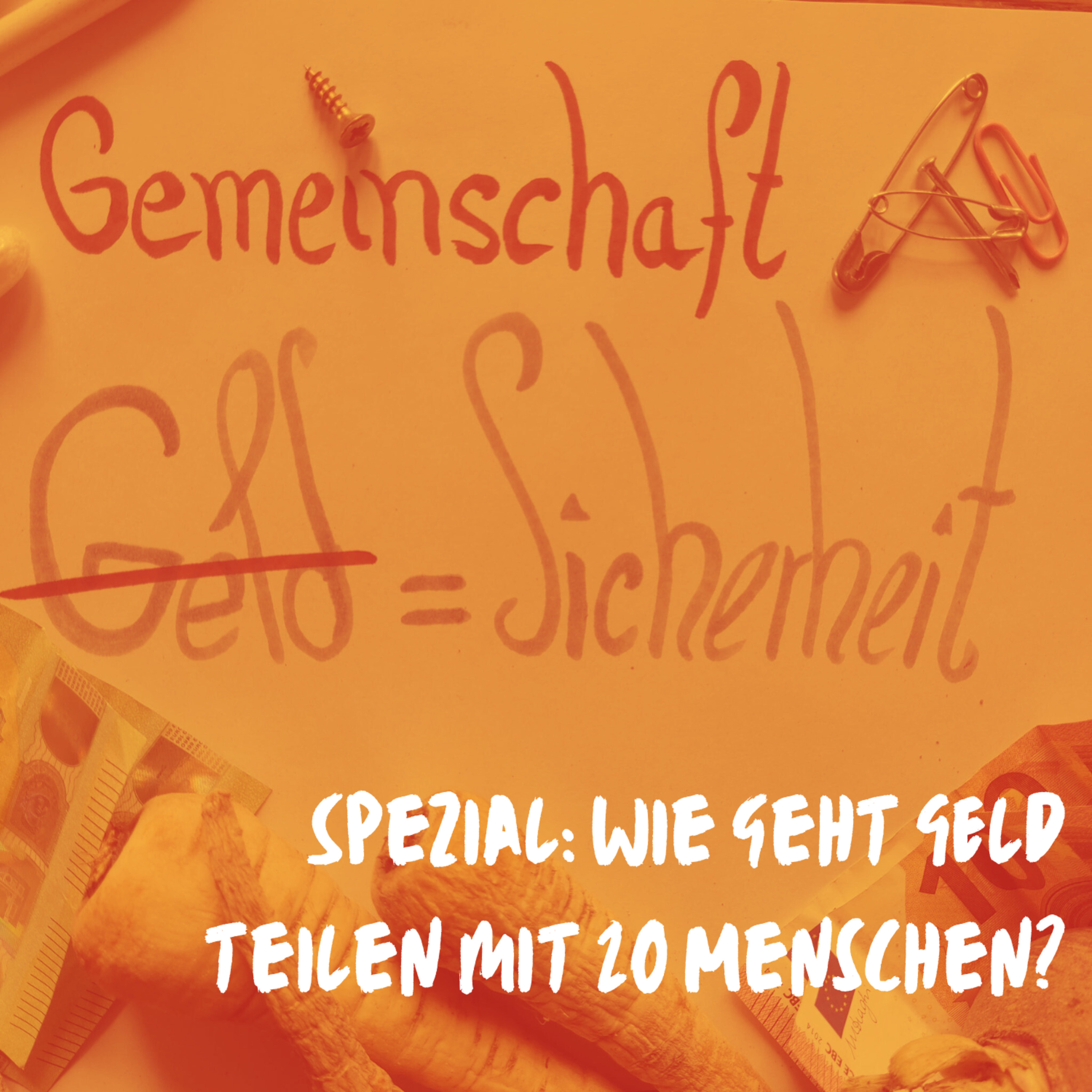 Spezial: Wie geht Geld teilen mit 20 Menschen? - Gemeinsame Ökonomie im Interview  episode artwork